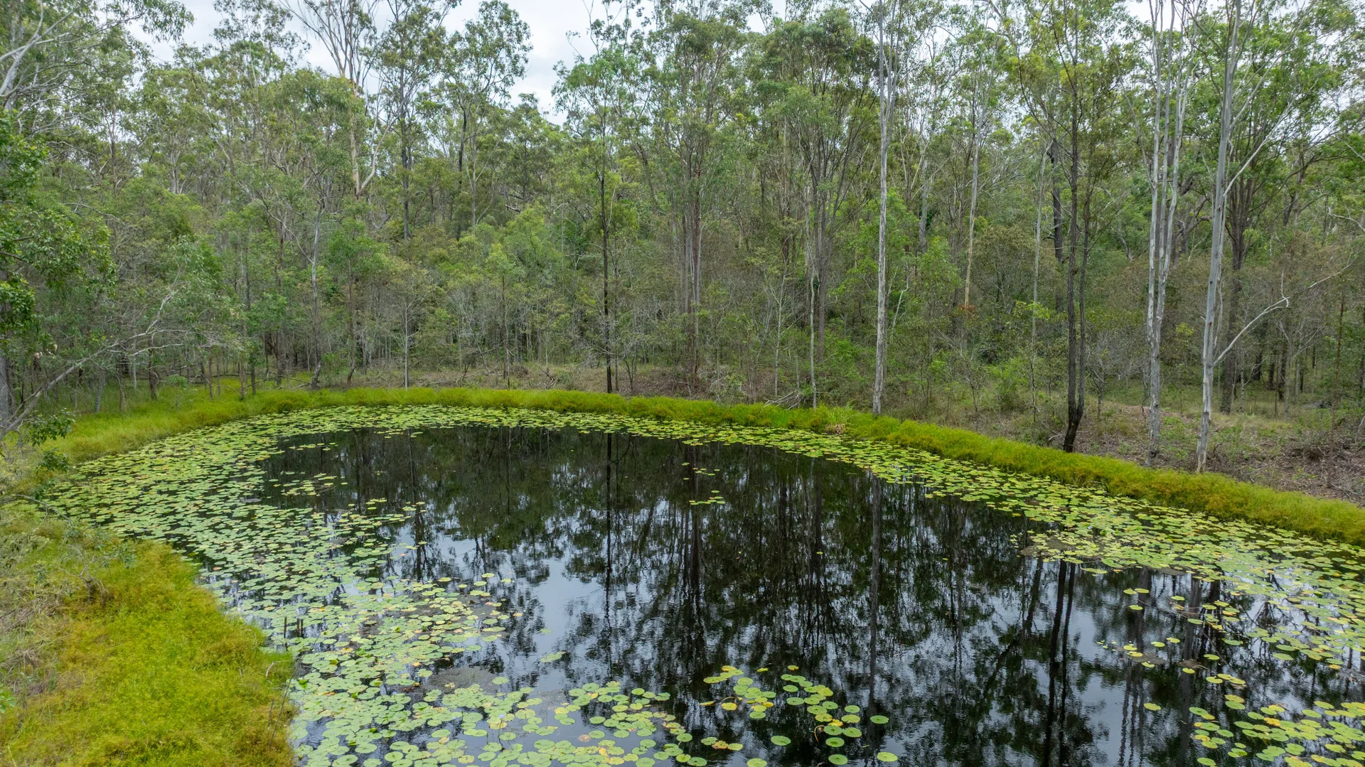 Additional image 26 of 49 Arborfourteen Road, Glenwood QLD 4570