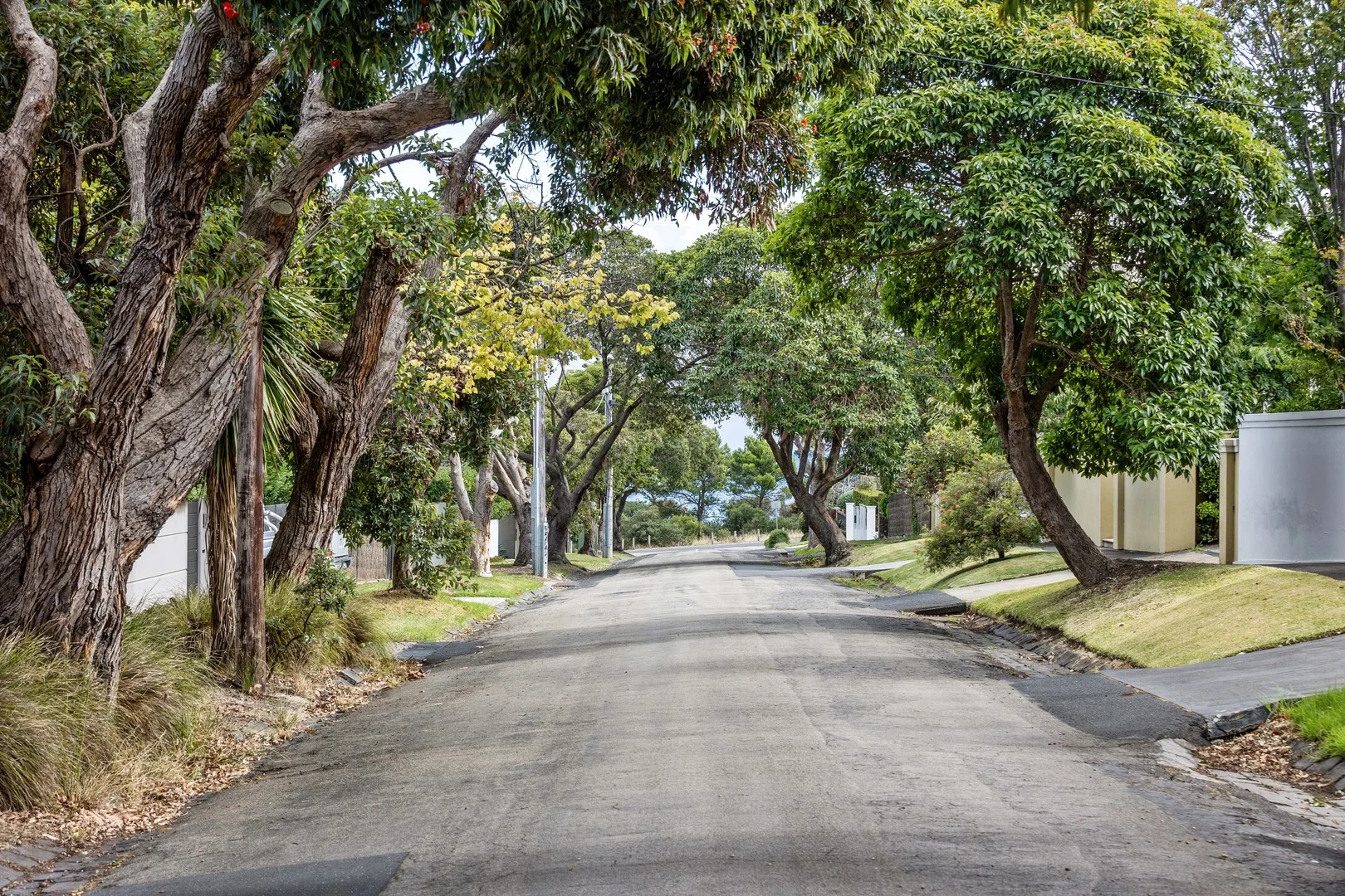 13 Grange Rd, Mornington VIC 3931 photo 5