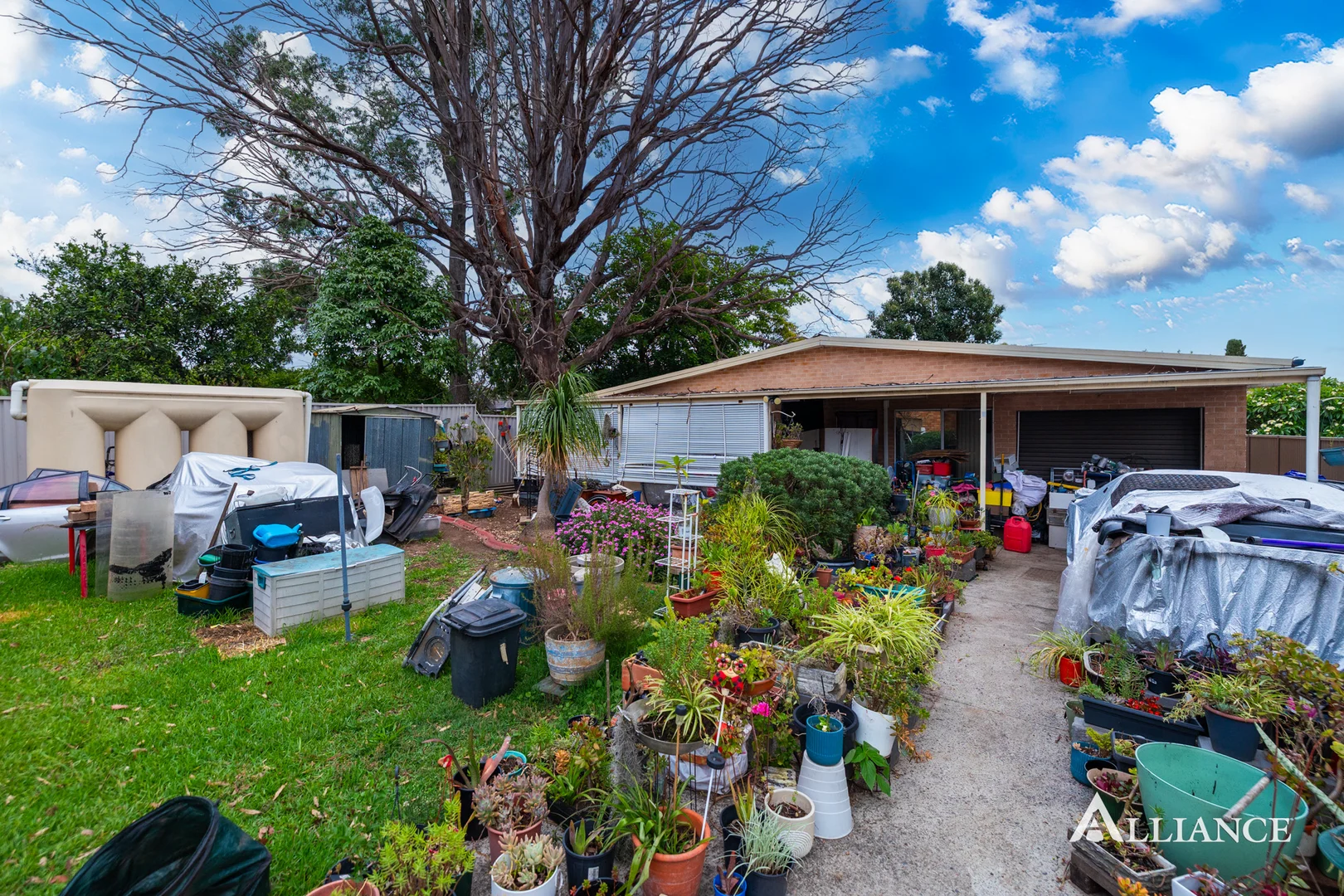 Additional image 6 of 22 Woodburn Avenue, Panania NSW 2213