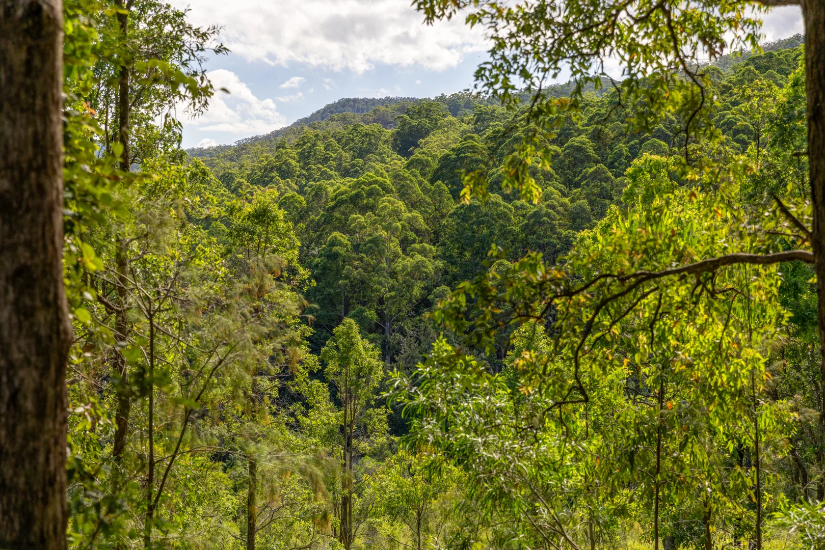 Additional image 16 of 1012 Boonabilla Road, Gresford NSW 2311