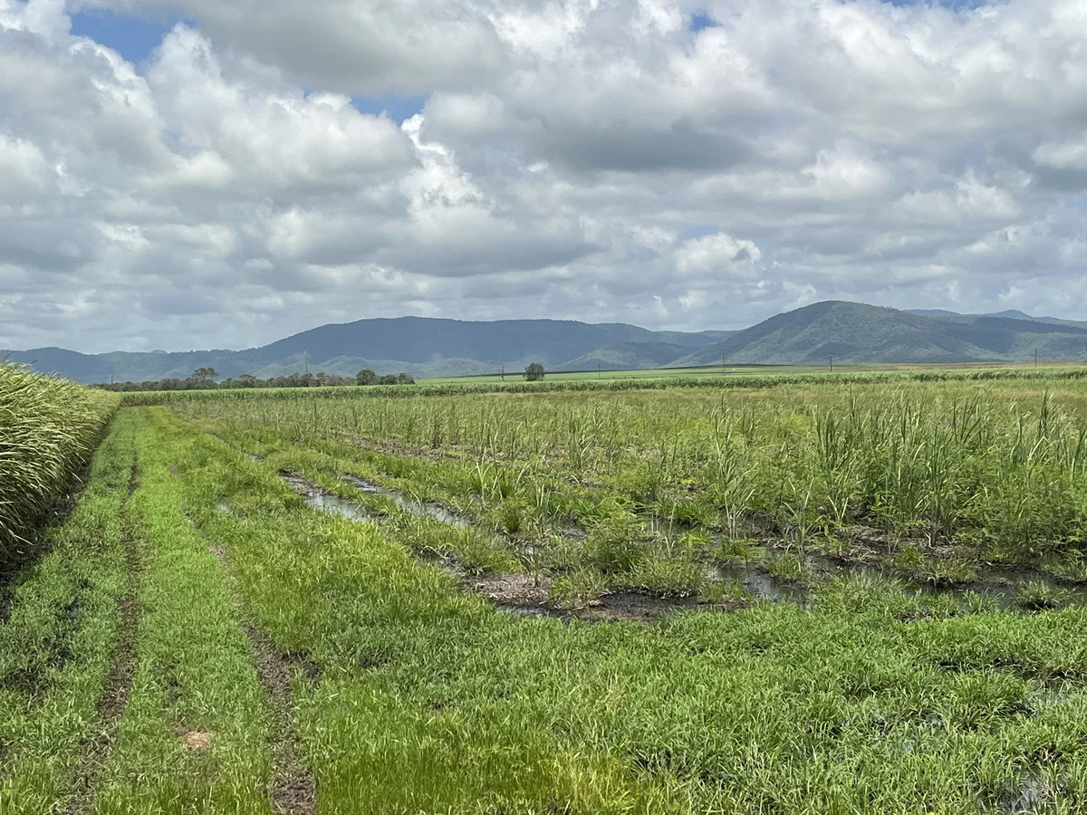 Additional image 3 of 2 Balberra Road, Balberra QLD 4740