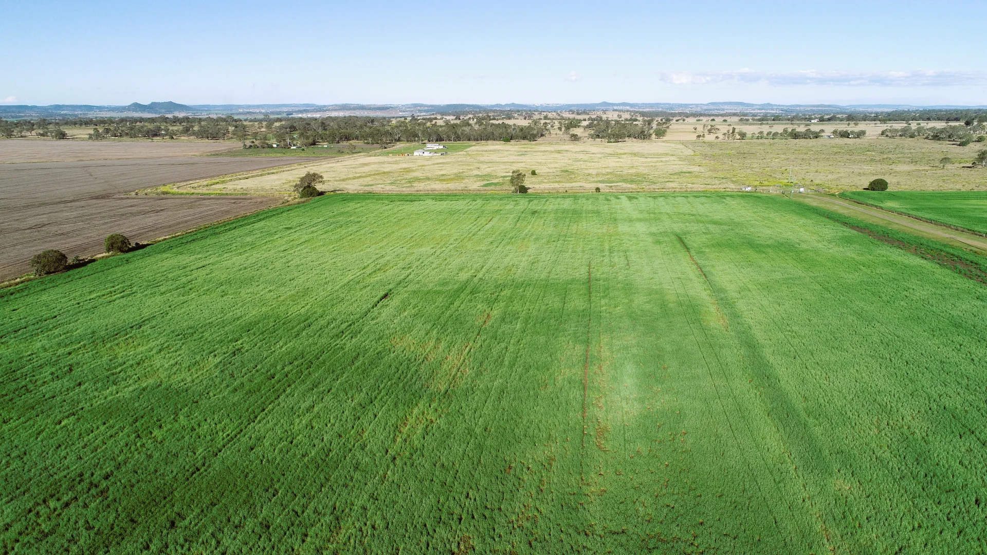 Additional image 36 of 'The Overflow' 102 Crighton Road, Biddeston QLD 4401