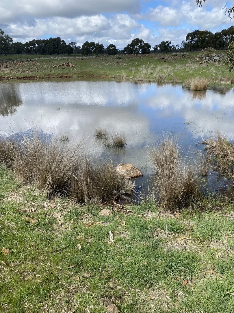 Additional image 17 of Glenhope VIC 3444