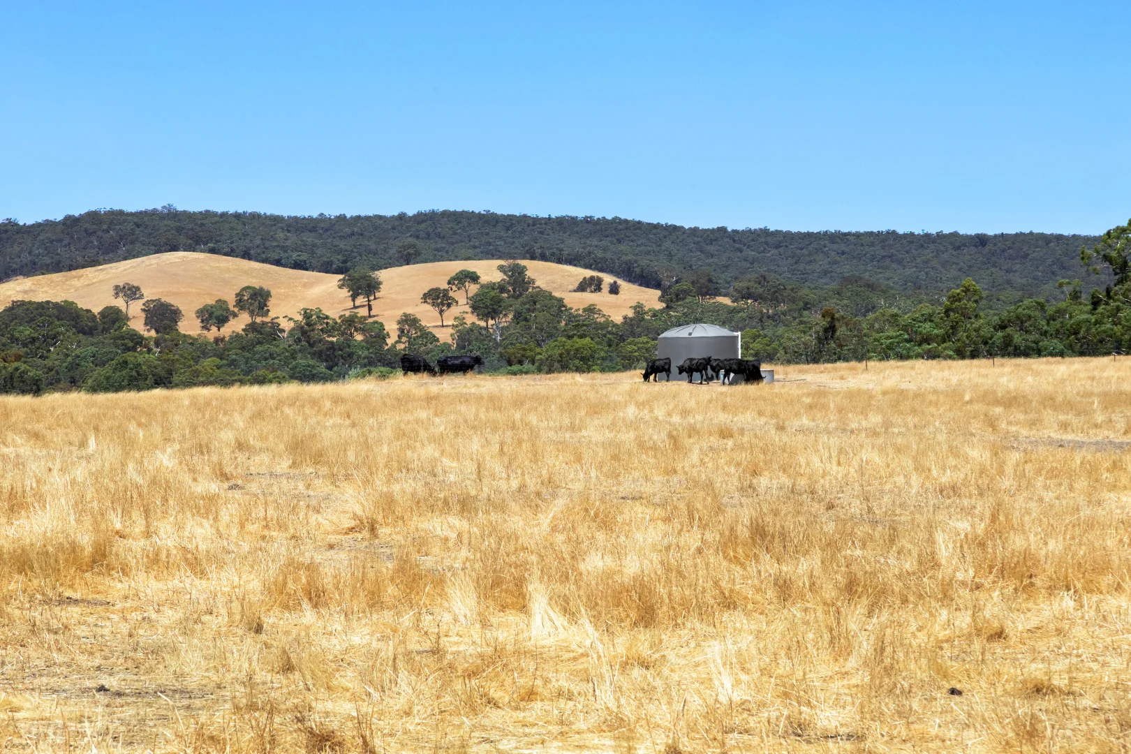 Additional image 5 of 113 Mount Lonarch Road, Mount Lonarch VIC 3468