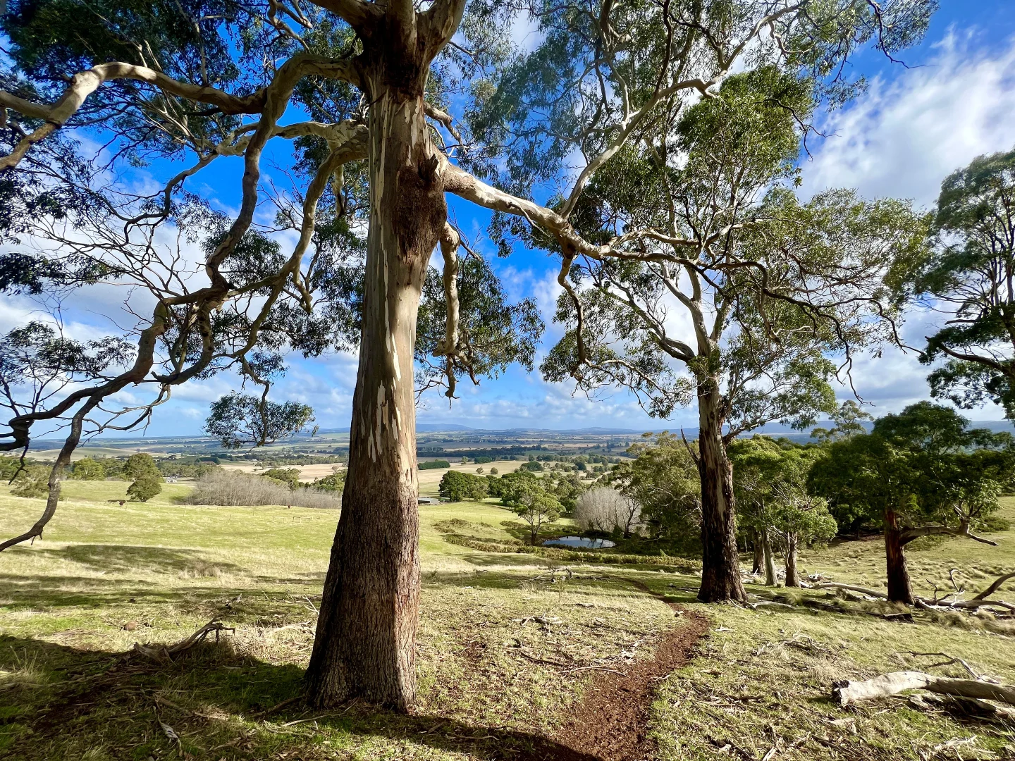 Additional image 18 of Red Gap Road/Fagans Lane, Goldie VIC 3435