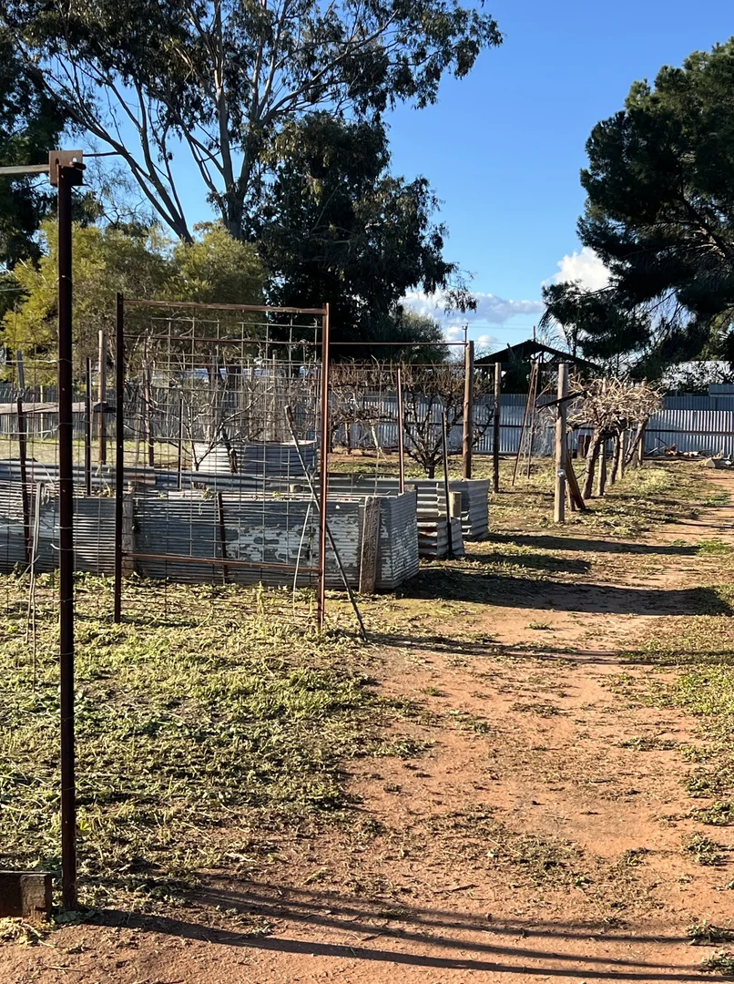 Additional image 15 of 195 Dowling Street West, Balranald NSW 2715