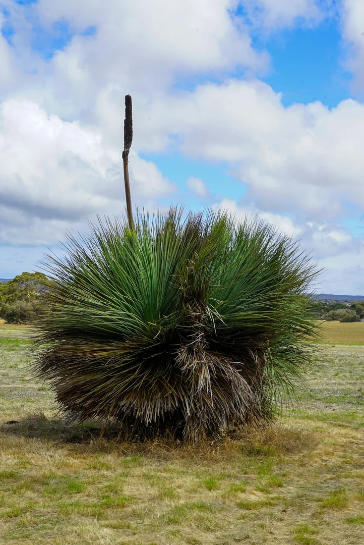Additional image 19 of 490 East West Two Highway, Seddon SA 5223