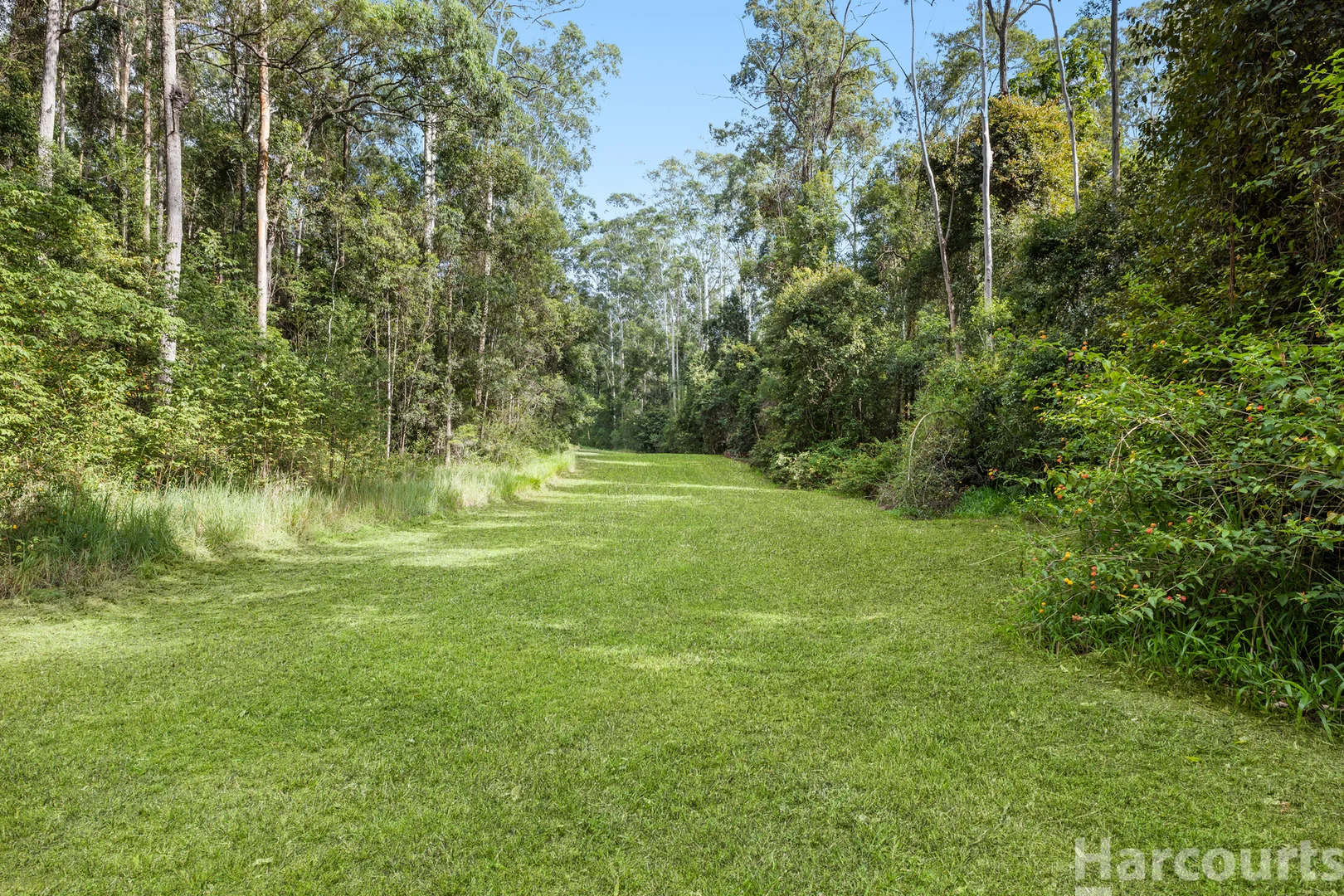 Additional image 30 of 600 Smiths Creek Road, Kundabung NSW 2441