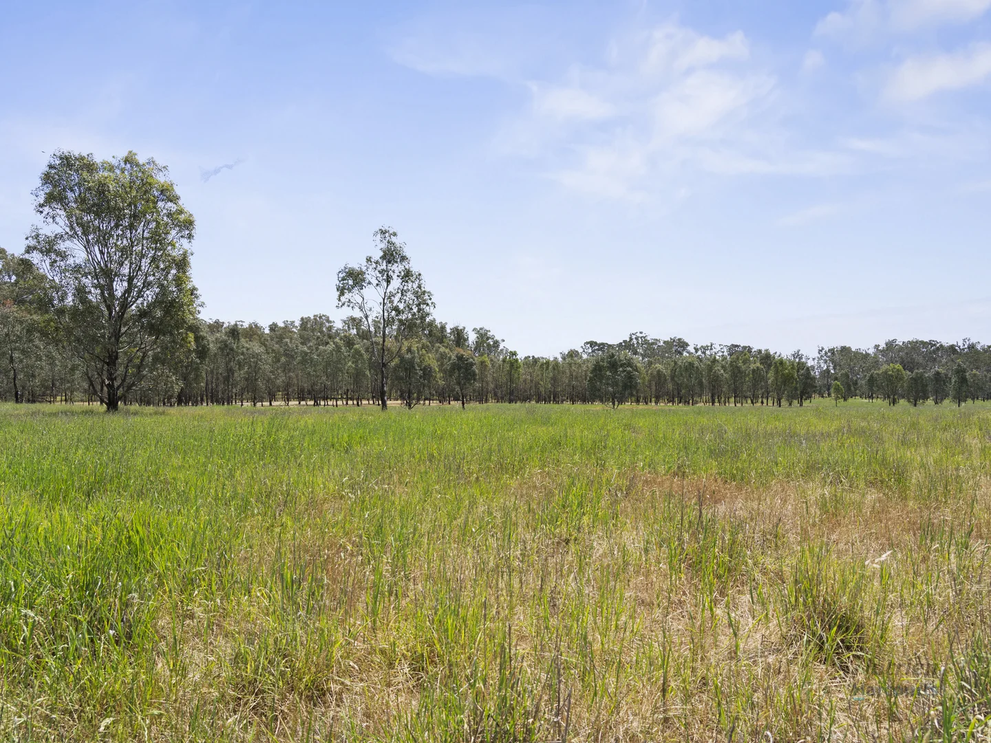 Additional image 17 of 1633 Euroa-Shepparton Road, Miepoll VIC 3666