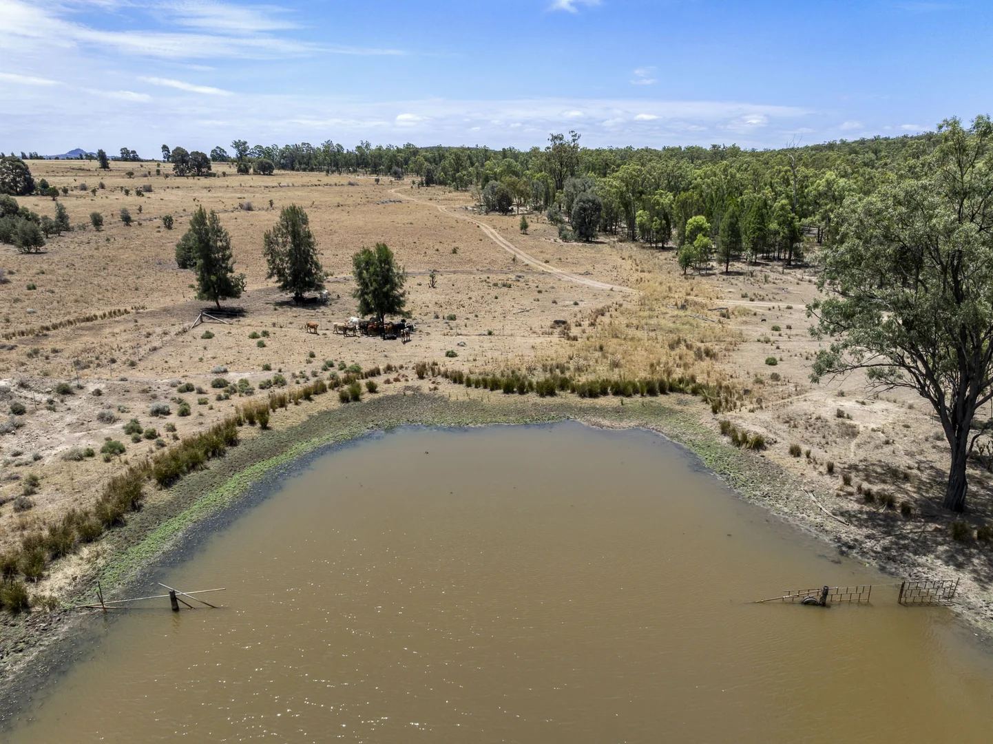 Additional image 8 of 120 Mabbet Road, Millmerran QLD 4357