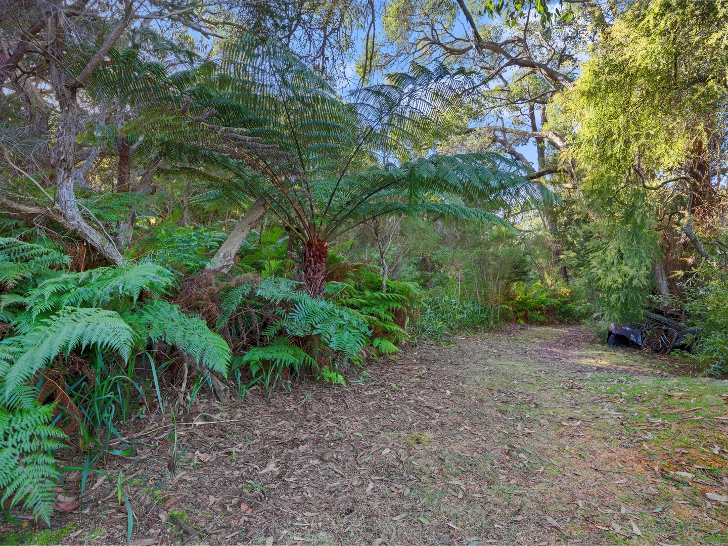 Additional image 4 of 15 Caringal Street, Waratah Bay VIC 3959