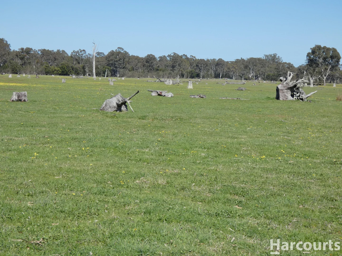 Additional image 12 of . Red Rock Road, Glenisla VIC 3314