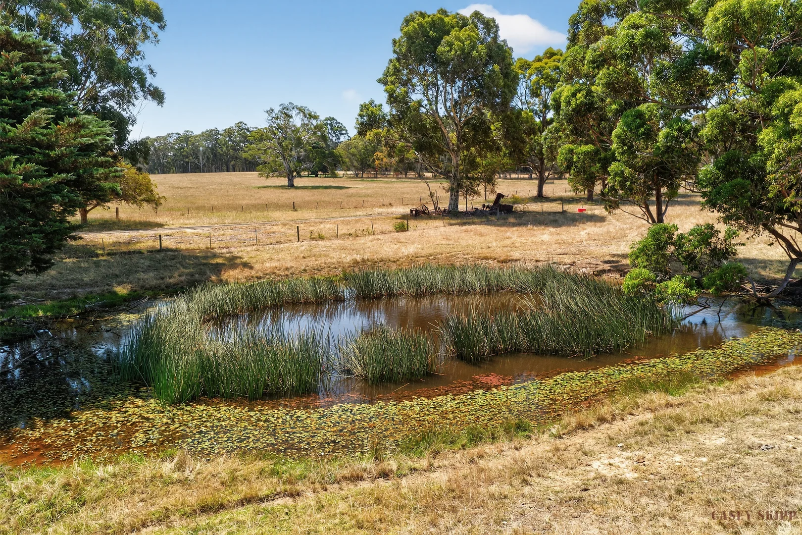 Additional image 13 of 2/440 Nicholson-Sarsfield Road, Sarsfield VIC 3875