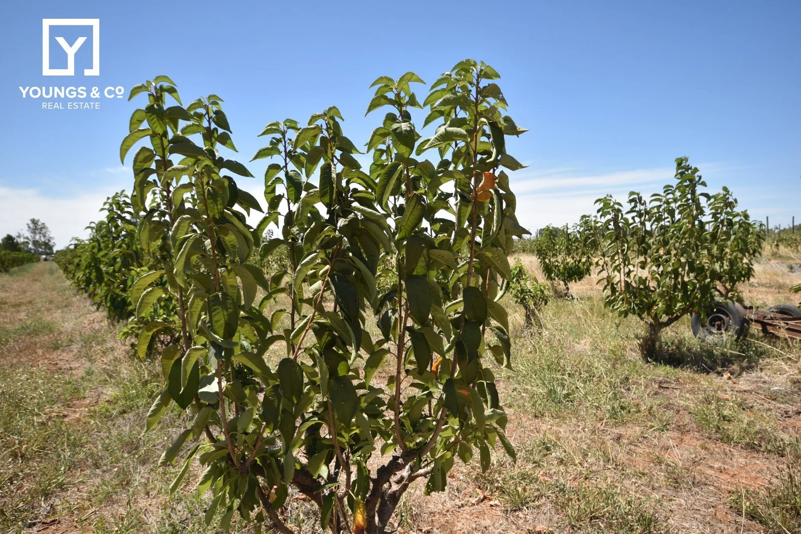 Additional image 5 of 508 Fenaughty Road, Tatura VIC 3616