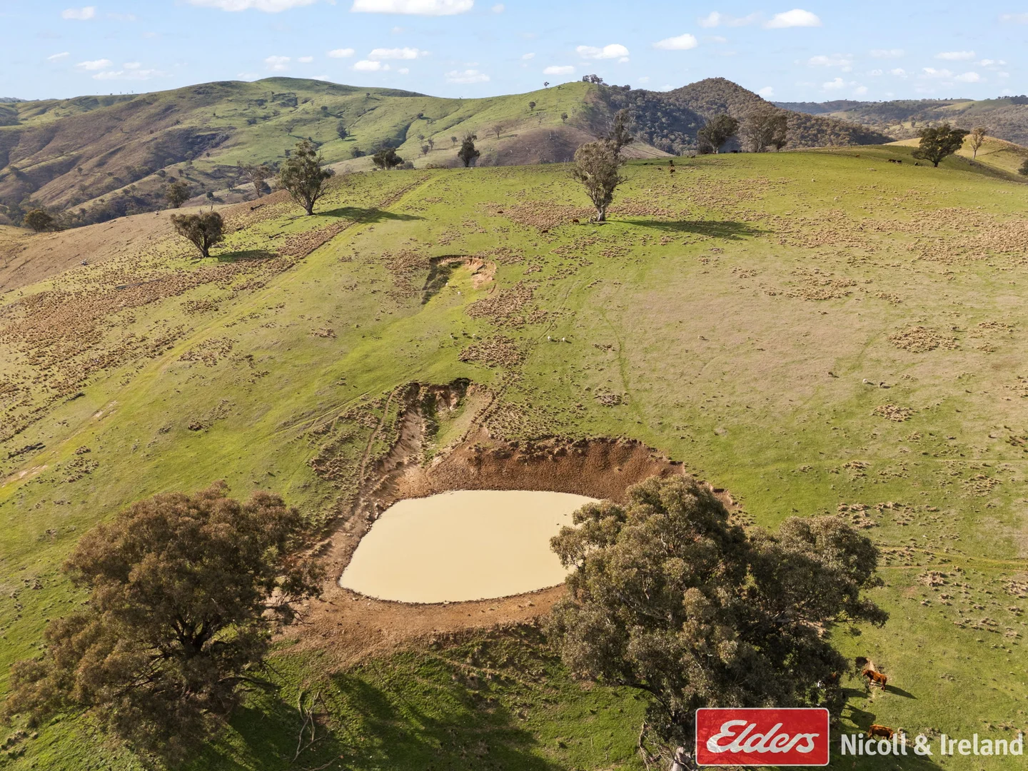 Additional image 10 of 6843 Goulburn Road, Abercrombie River NSW 2795