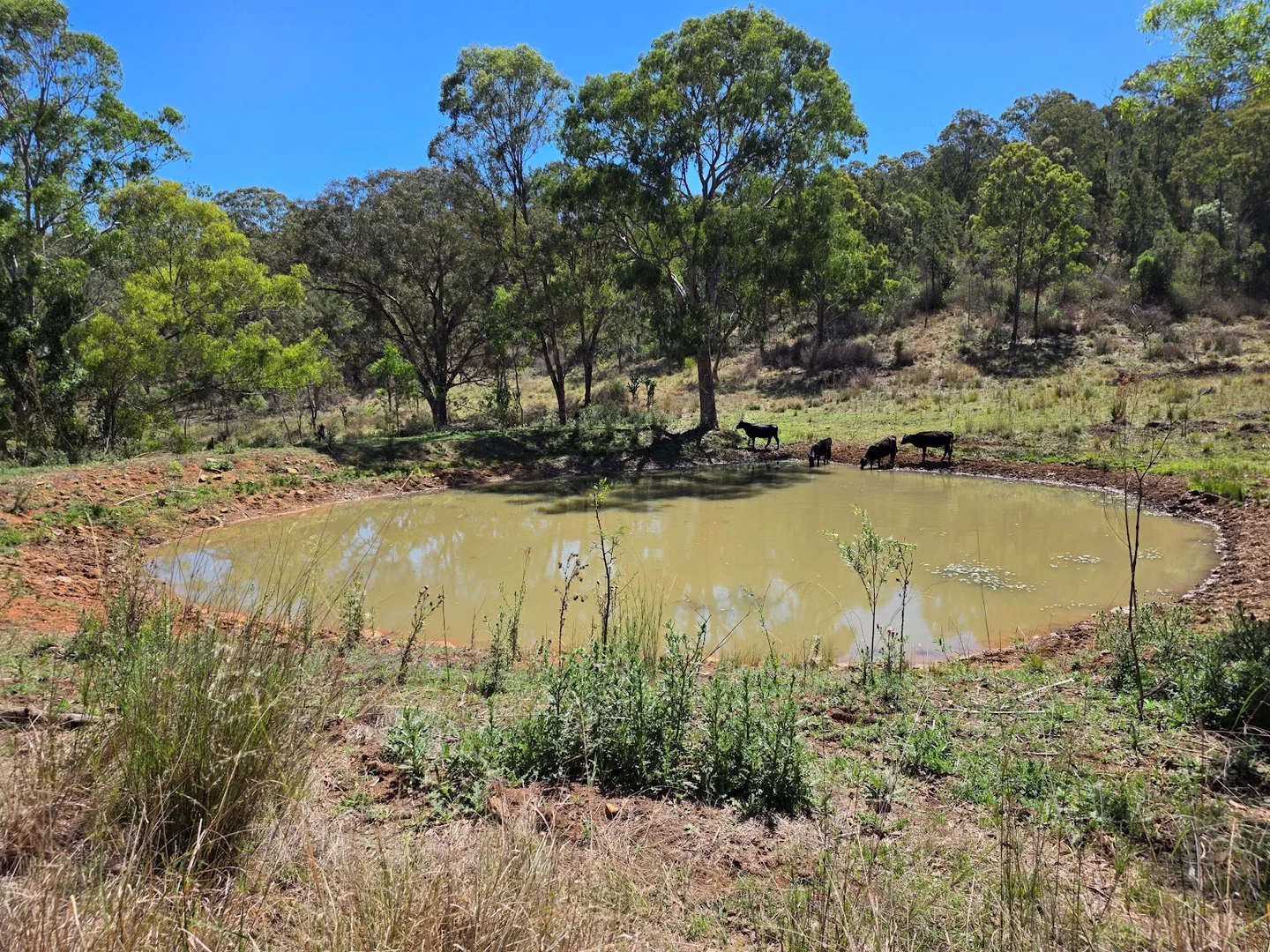 Additional image 12 of 448 Groomsville Road, Geham QLD 4352