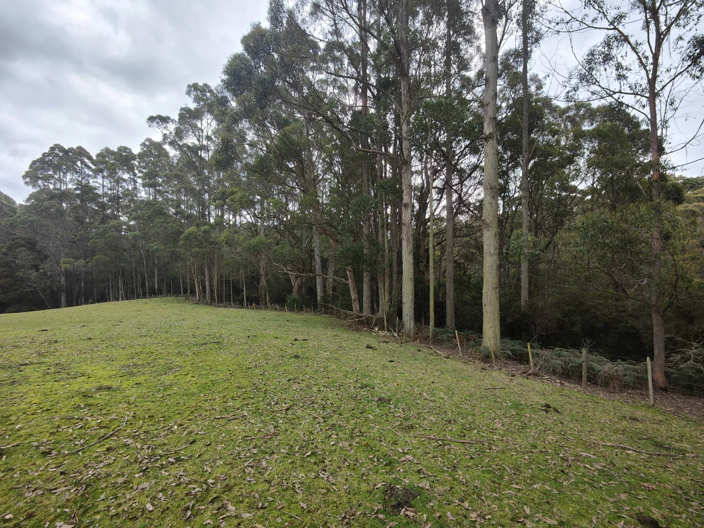 Additional image 14 of 0 Studderds Road, Moorleah TAS 7325