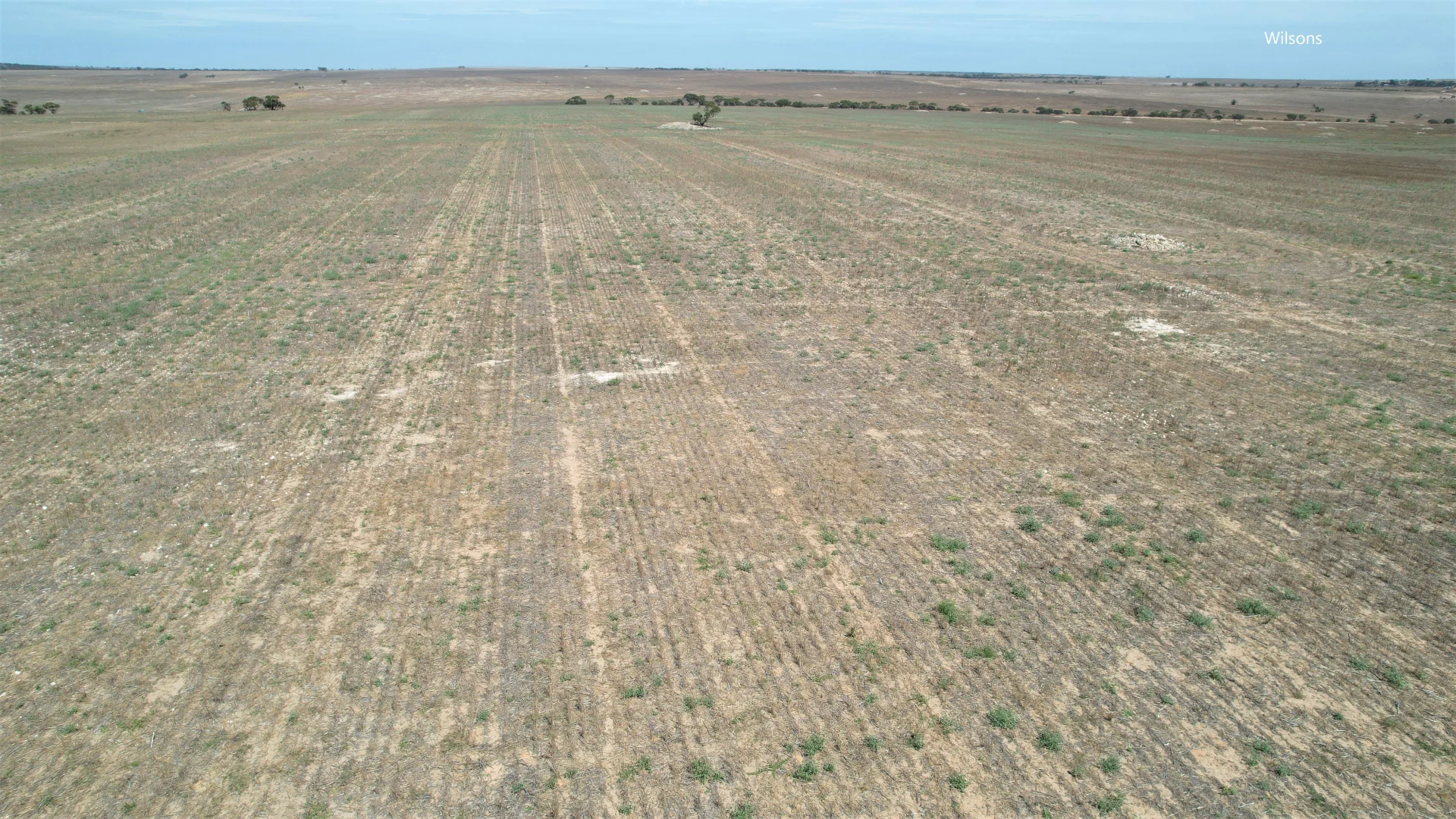 Additional image 9 of 256 Blacket Road, Wynarka SA 5306