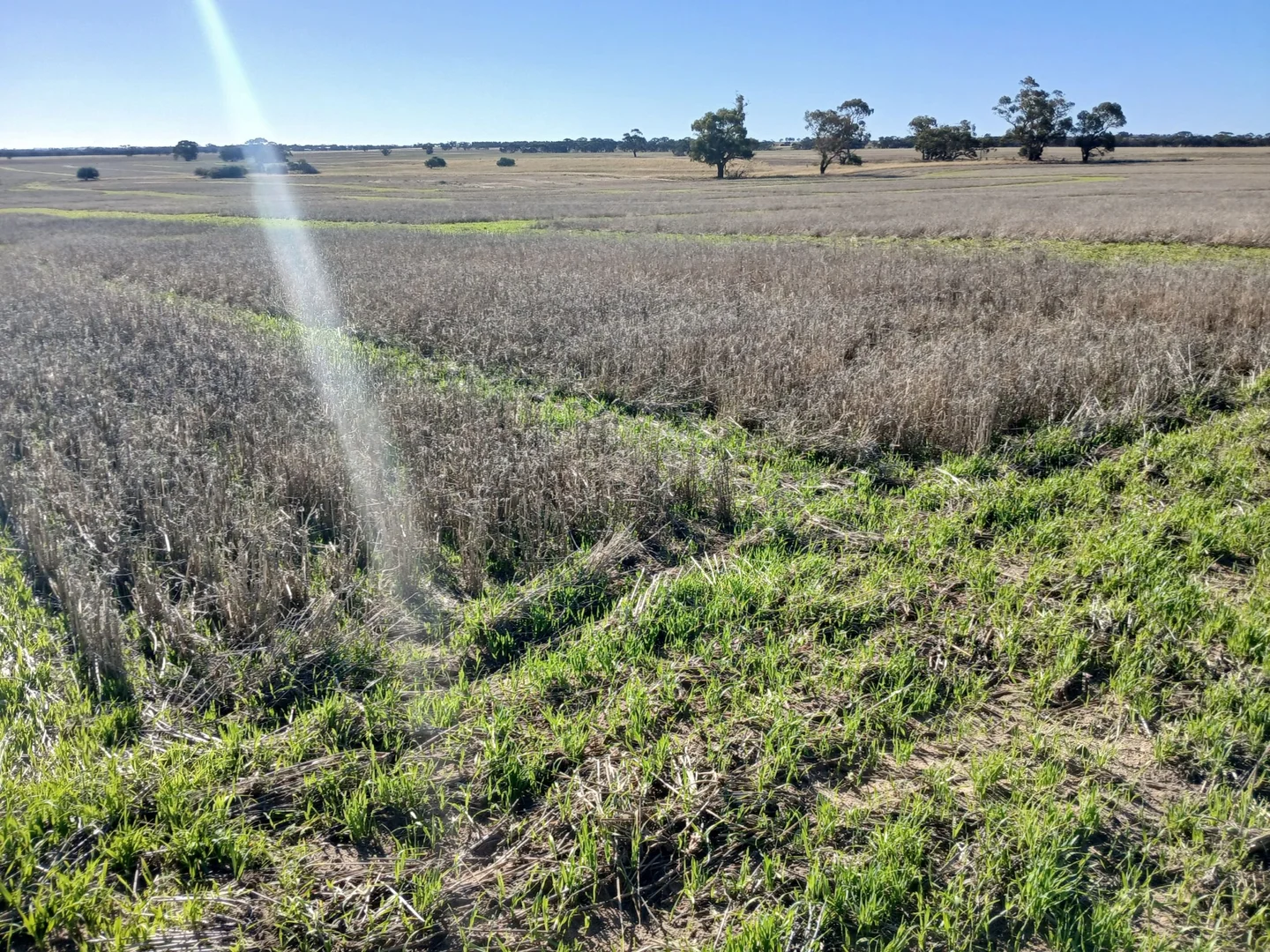 Additional image 12 of 1100 Propodollah Road, Nhill VIC 3418