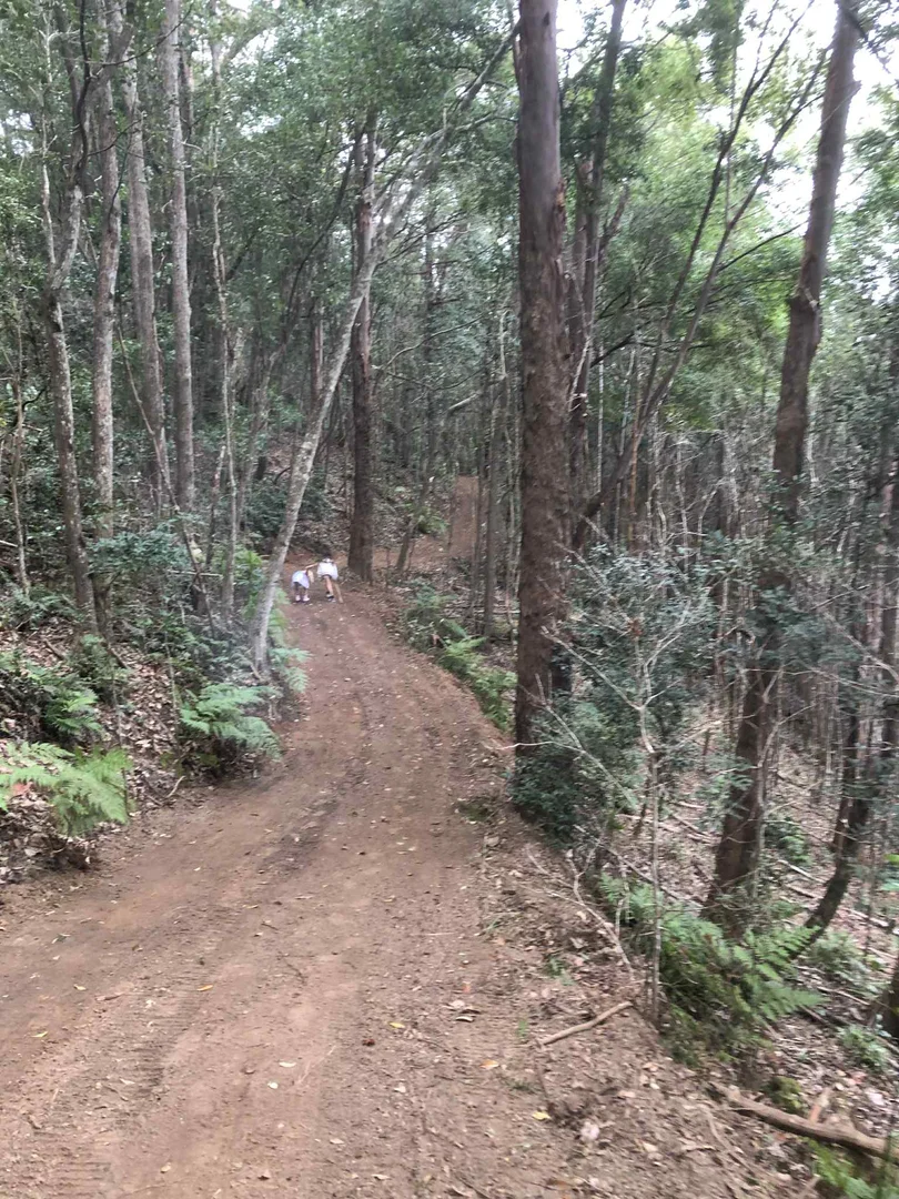 Additional image 4 of Uki NSW 2484