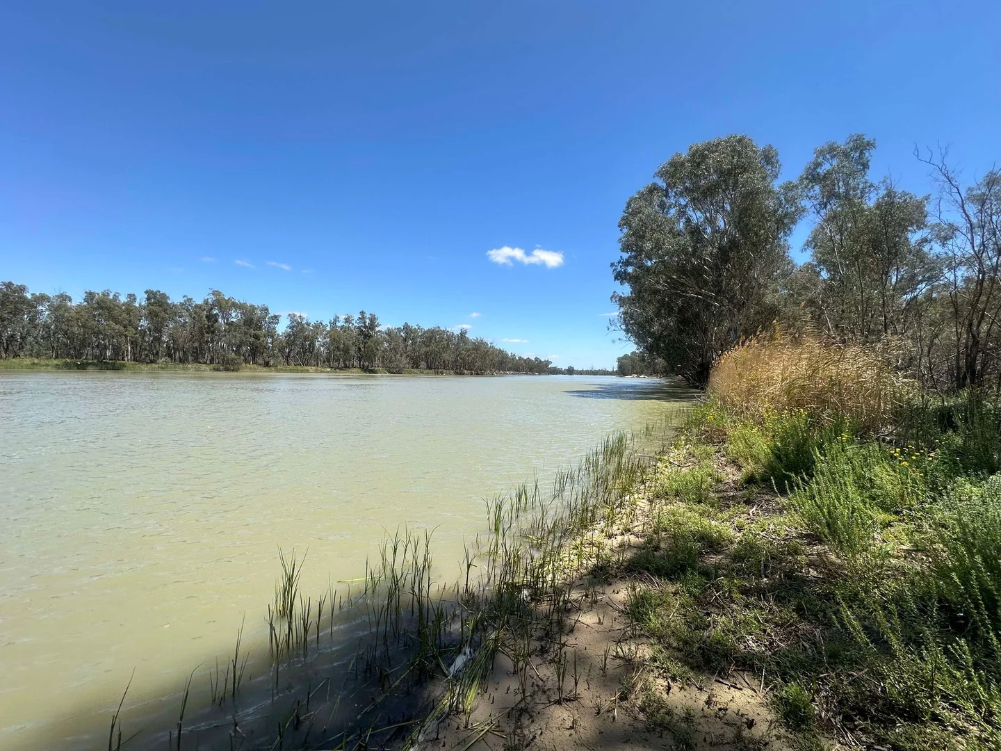 Additional image 9 of 2/145 Lock 5 Road, Paringa SA 5340