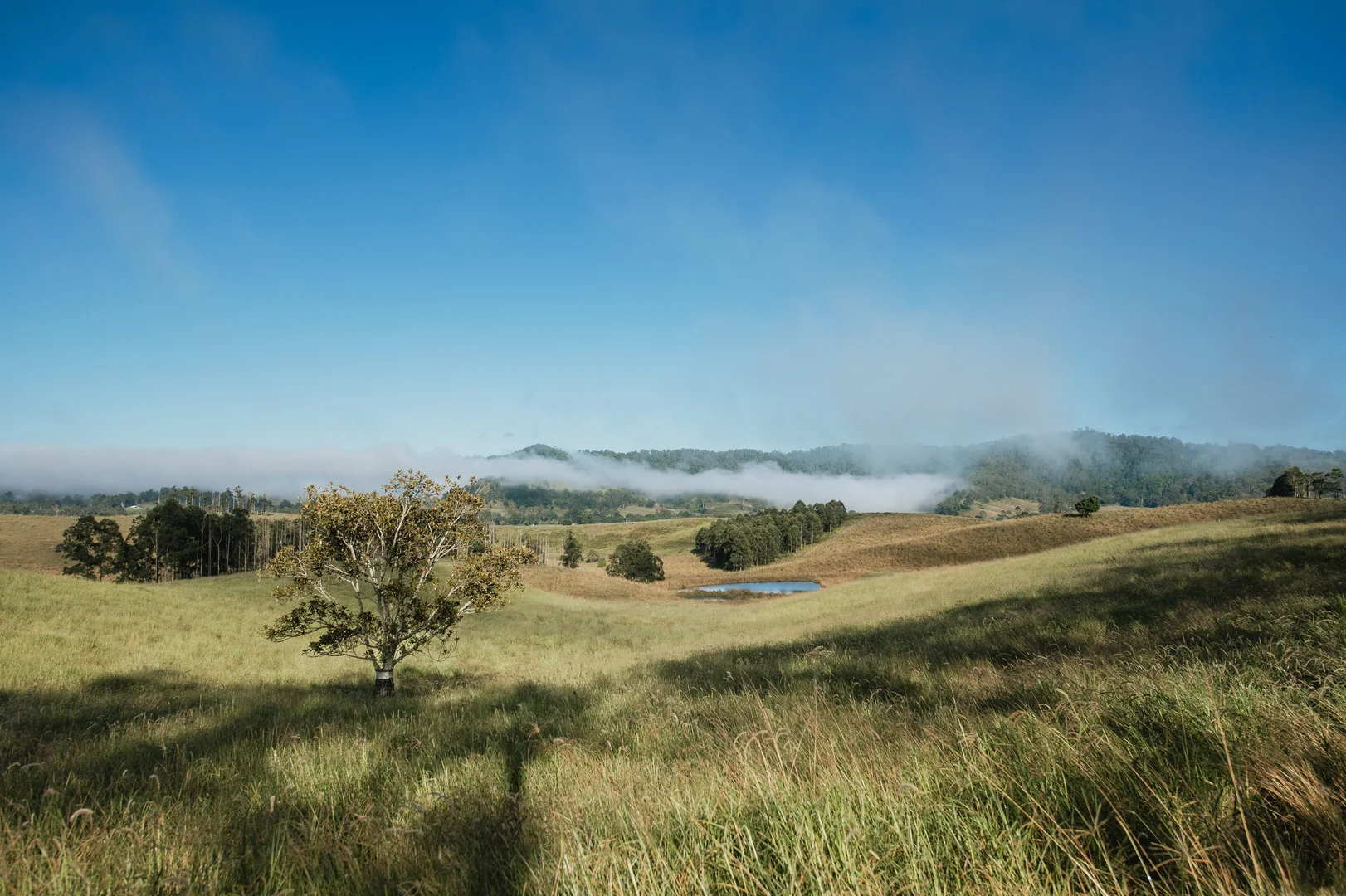 Additional image 7 of Lynches Creek Road, Wiangaree NSW 2474