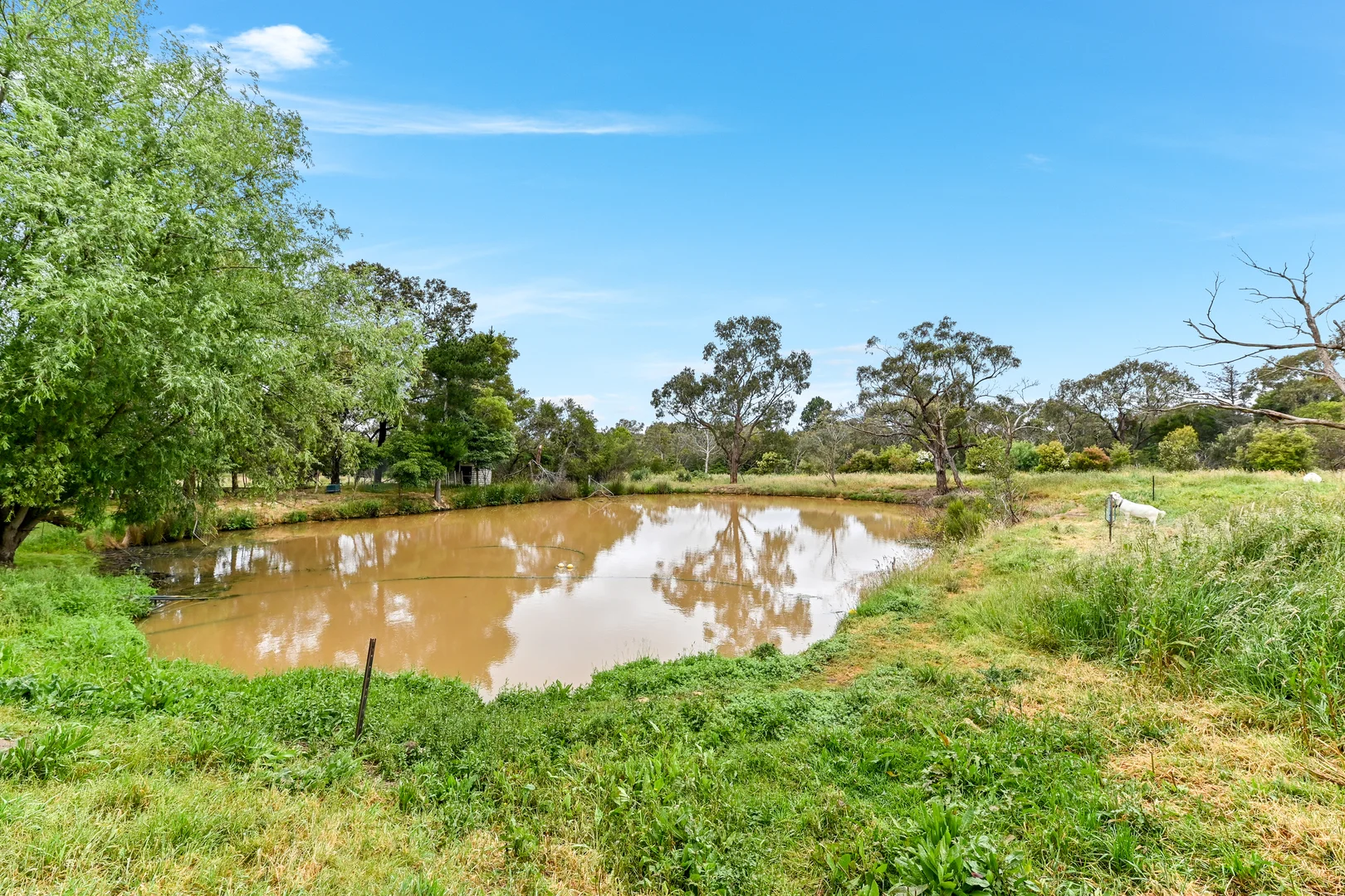 Additional image 4 of 50 Langley Road, Cranbourne South VIC 3977