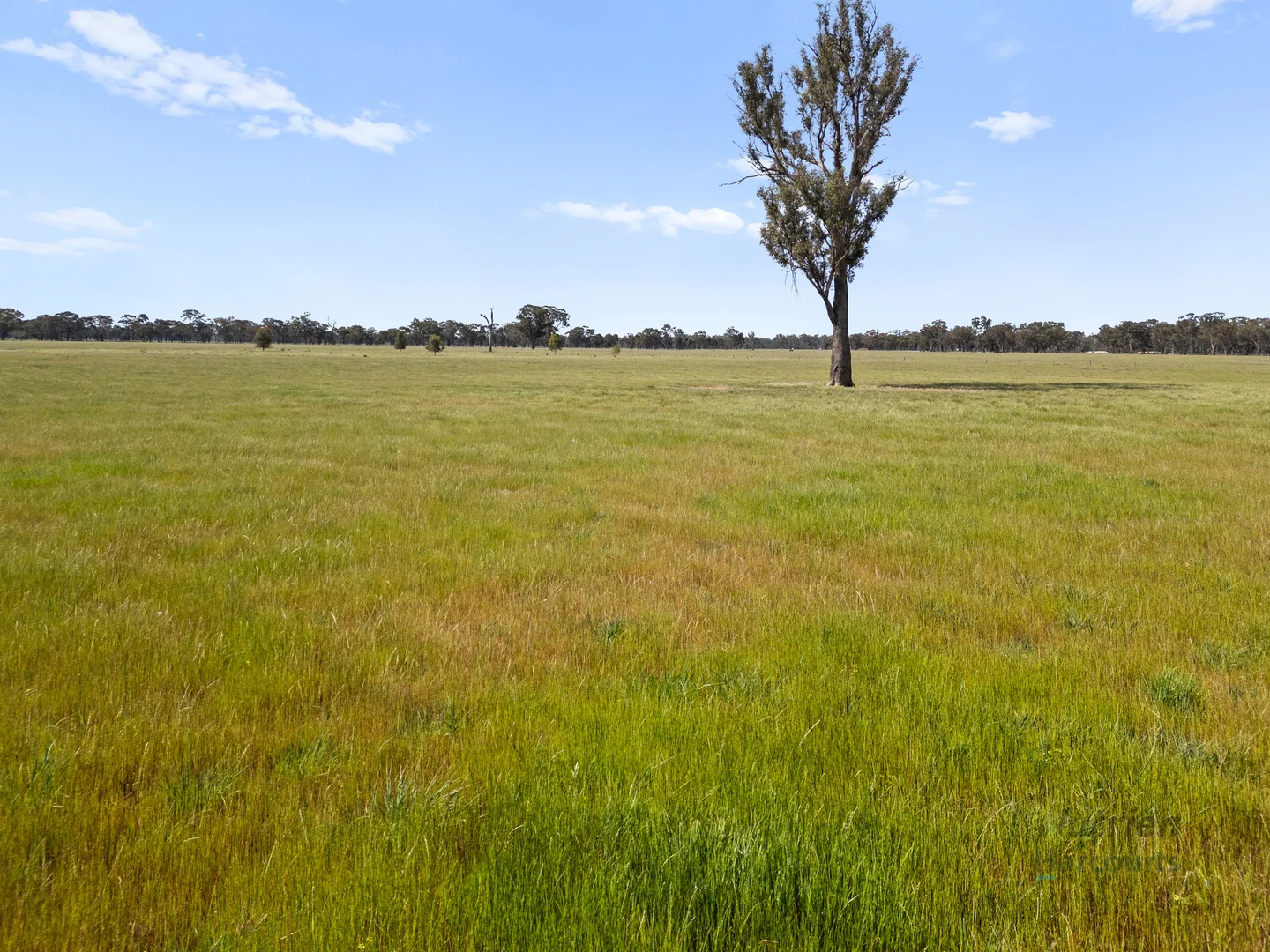Additional image 16 of 1633 Euroa-Shepparton Road, Miepoll VIC 3666