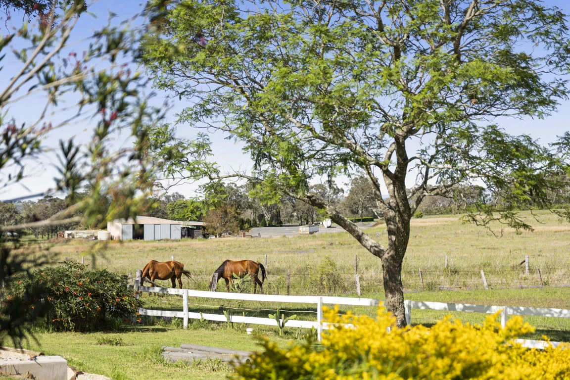 Additional image 16 of 49 Harelmar Road, Southbrook QLD 4363