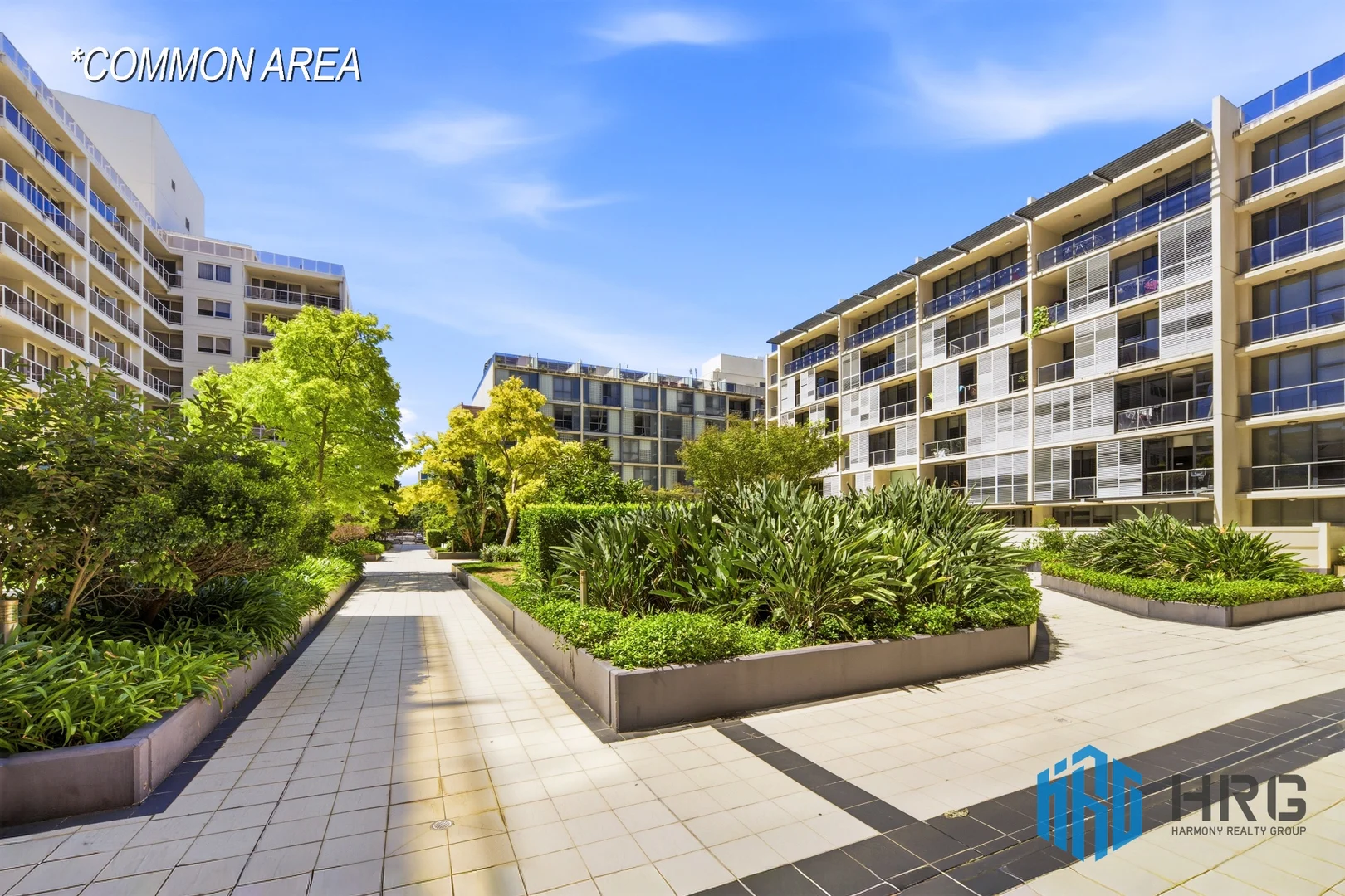 Additional image 8 of 282/8 Lachlan street, Waterloo NSW 2017