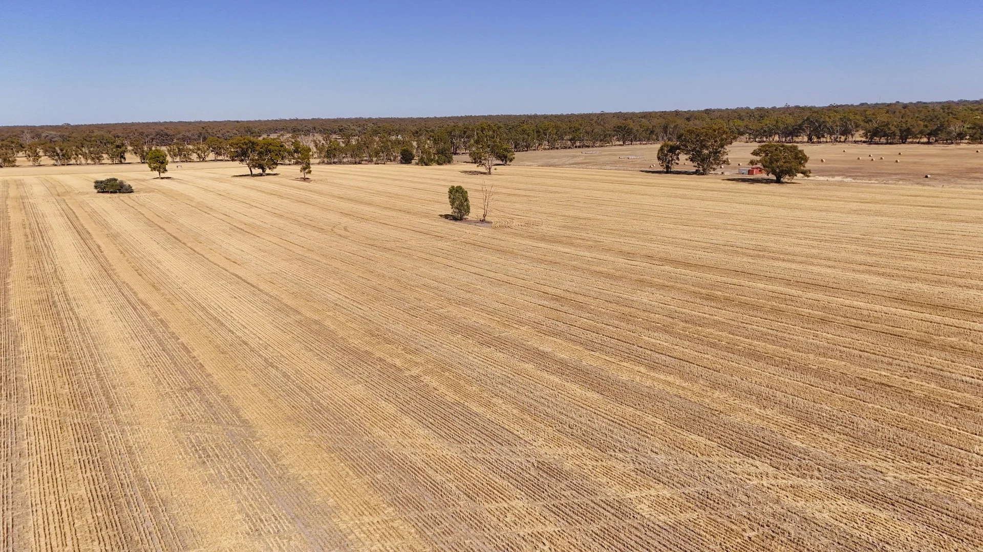 Additional image 4 of 99 Winzar Lane, Goornong VIC 3557