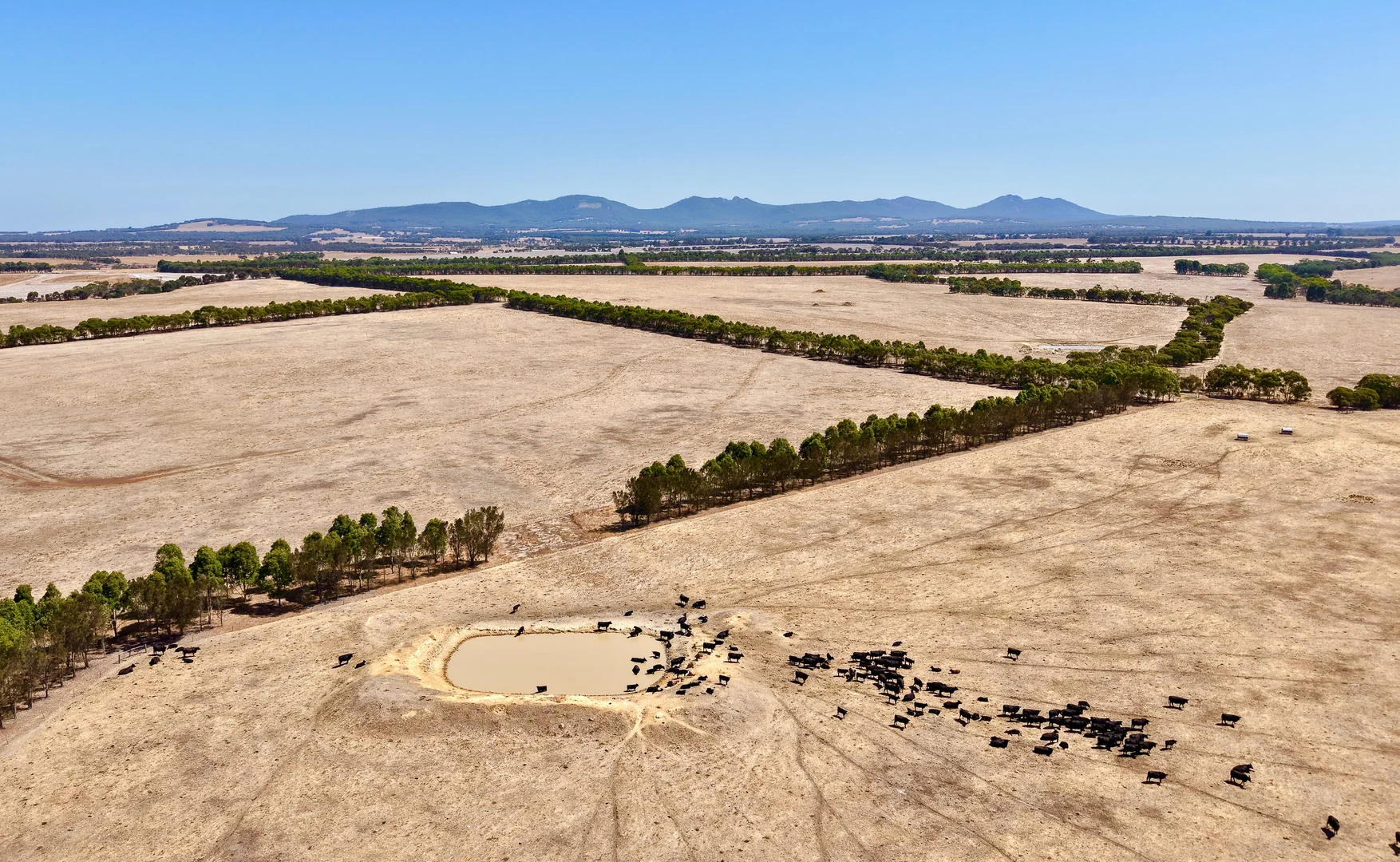 Additional image 20 of 4842 Chester Pass Road, Takalarup WA 6324