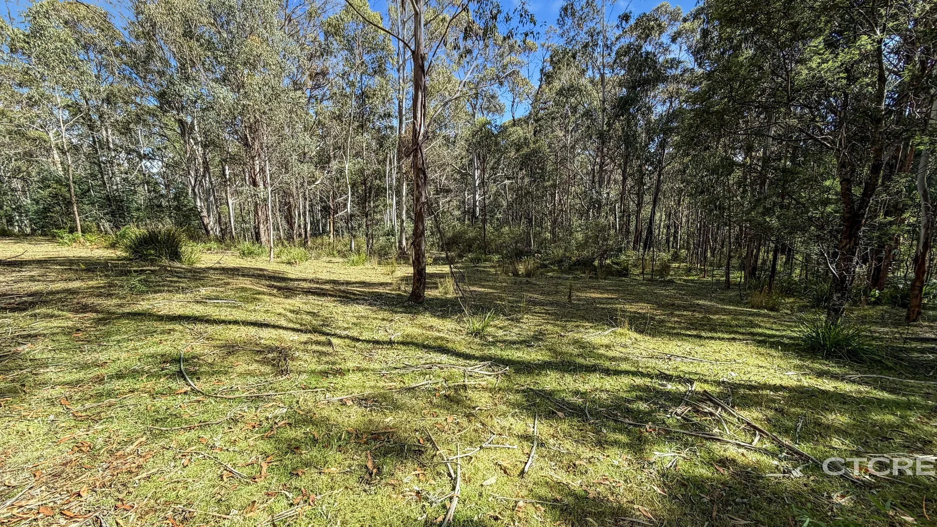 Additional image 10 of 12F & 12G Minchins Track, Bonang VIC 3888