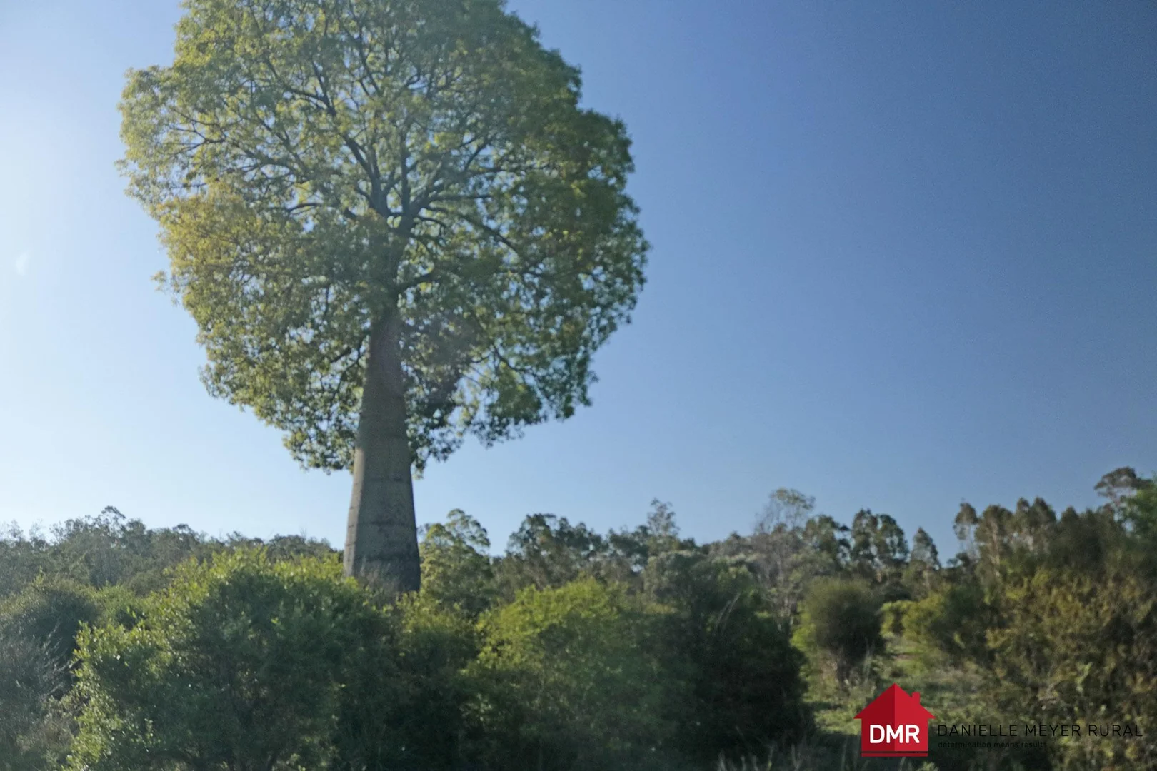 Additional image 4 of 24754 Burnett Highway, Ceratodus QLD 4627