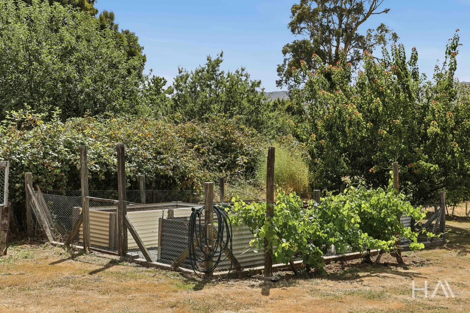 Additional image 22 of 200 Freshwater Point Road, Legana TAS 7277