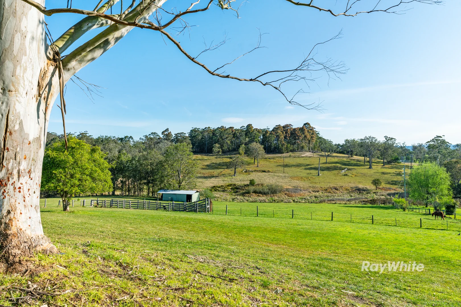 Additional image 32 of 56 Eurobodalla Road, Bodalla NSW 2545
