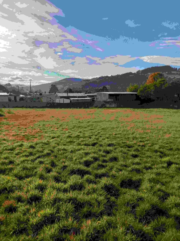 35 John Street, Geeveston TAS 7116