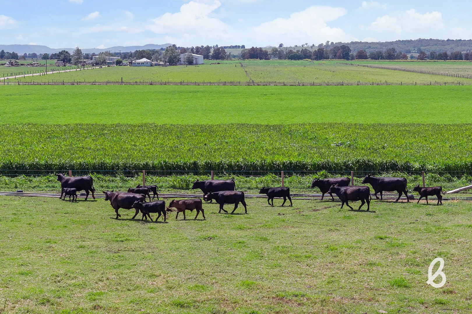 Additional image 56 of 204 Racecourse Lane, Singleton NSW 2330