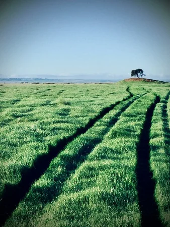 Additional image 36 of 64 Ford Luers Road, Casterton VIC 3311