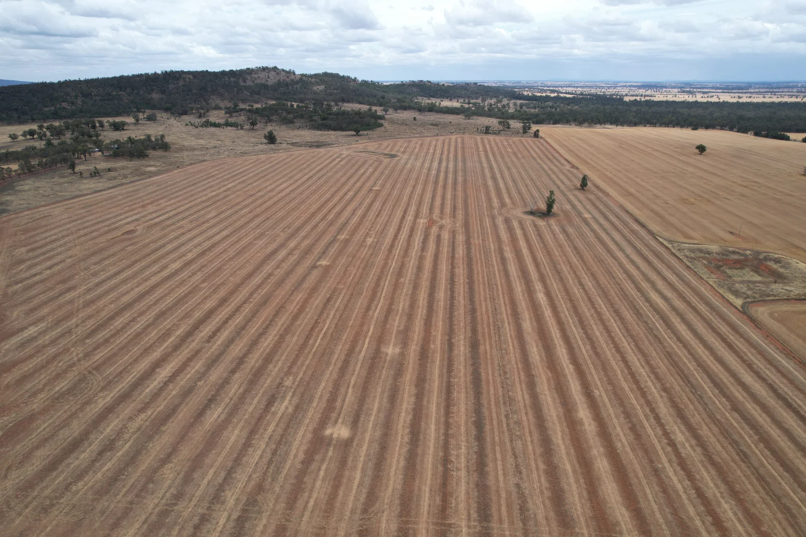 Additional image 27 of 76 Kerrs Lane, Caragabal NSW 2810