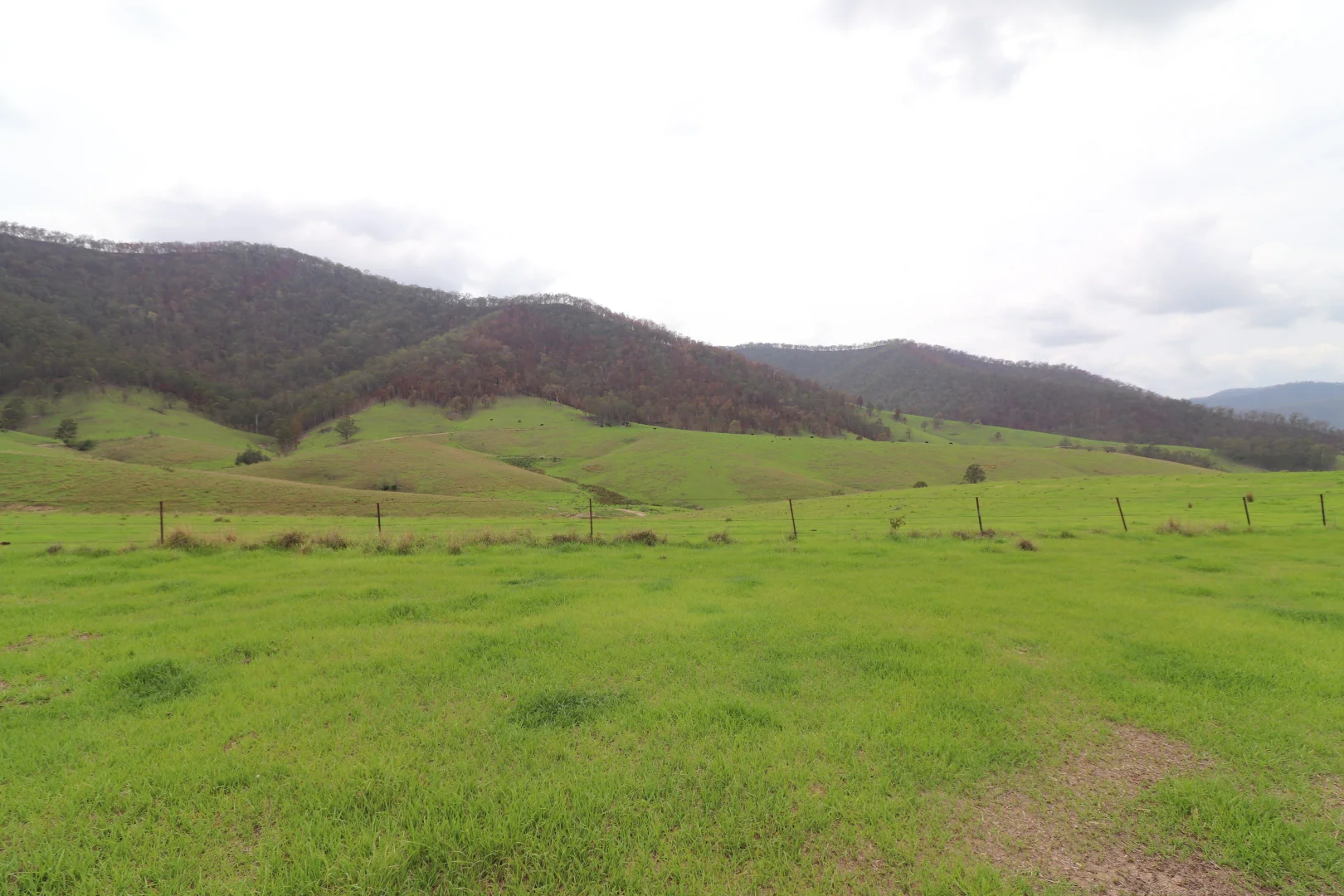 Additional image 7 of Lot 14/7986 Kempsey Road, Lower Creek NSW 2440