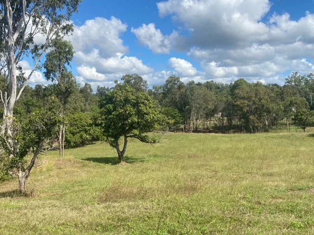 Additional image 4 of 63 Whitsunday Drive, Bloomsbury QLD 4799