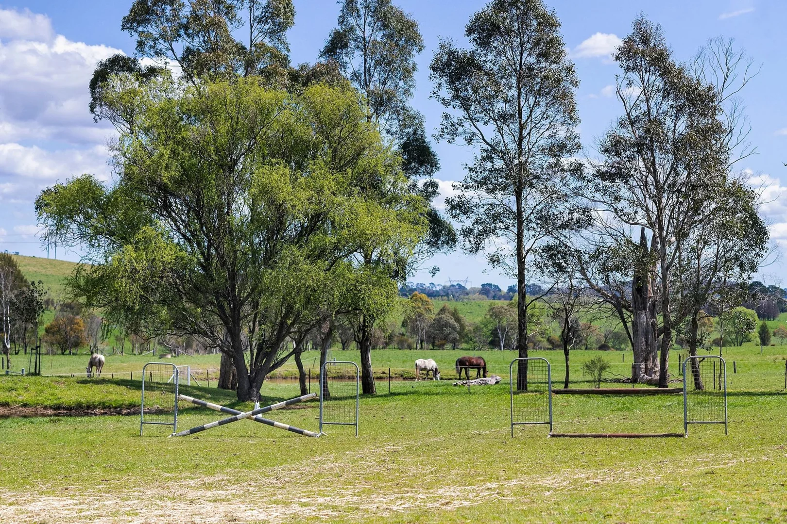 Additional image 22 of 138 Bibbys Lane, Werai NSW 2577