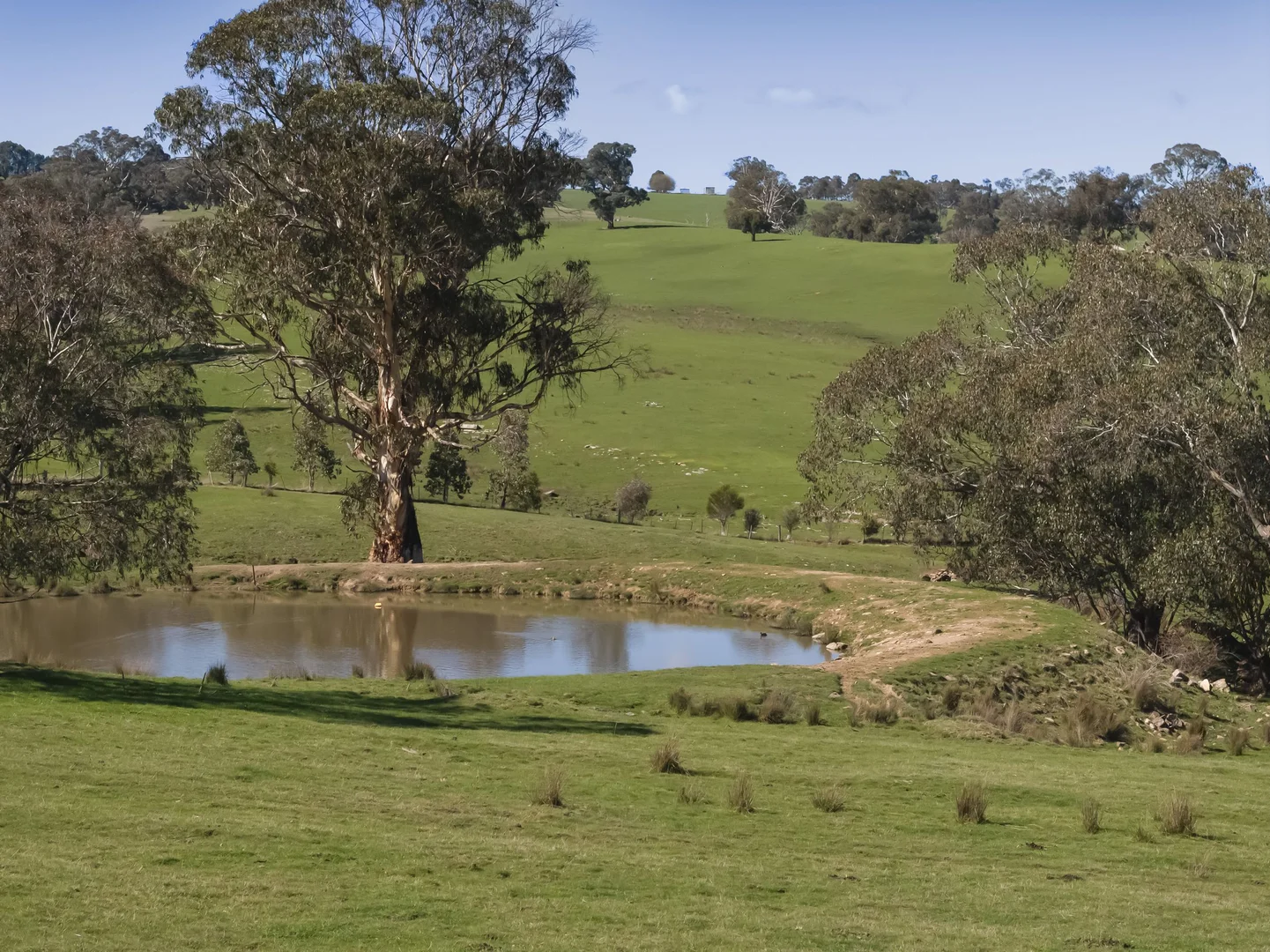 Additional image 3 of 150 Gonzaga Lane, Merrijig VIC 3723