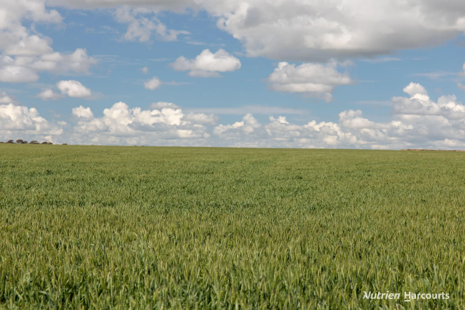 Additional image 12 of . Rollond Road, Cascade WA 6450