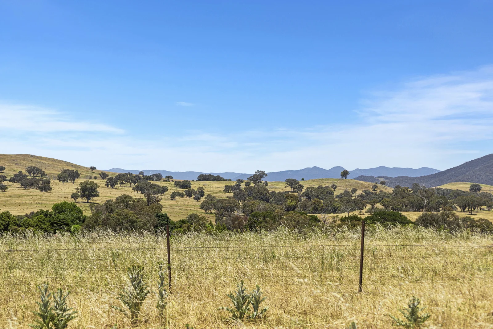 Additional image 26 of Lot 1/414 Horseshoe Rd, Mullion NSW 2582