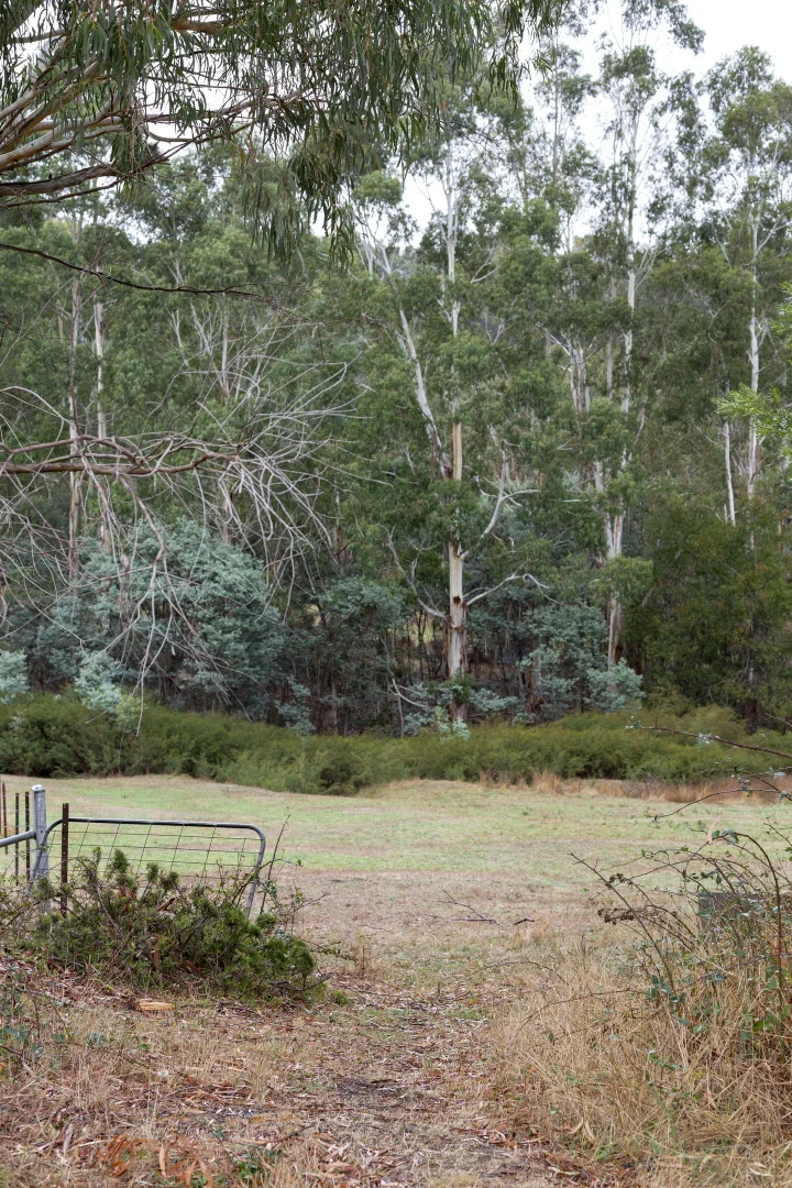 Additional image 20 of 2323 Heidelberg-Kinglake Rd, St Andrews VIC 3761