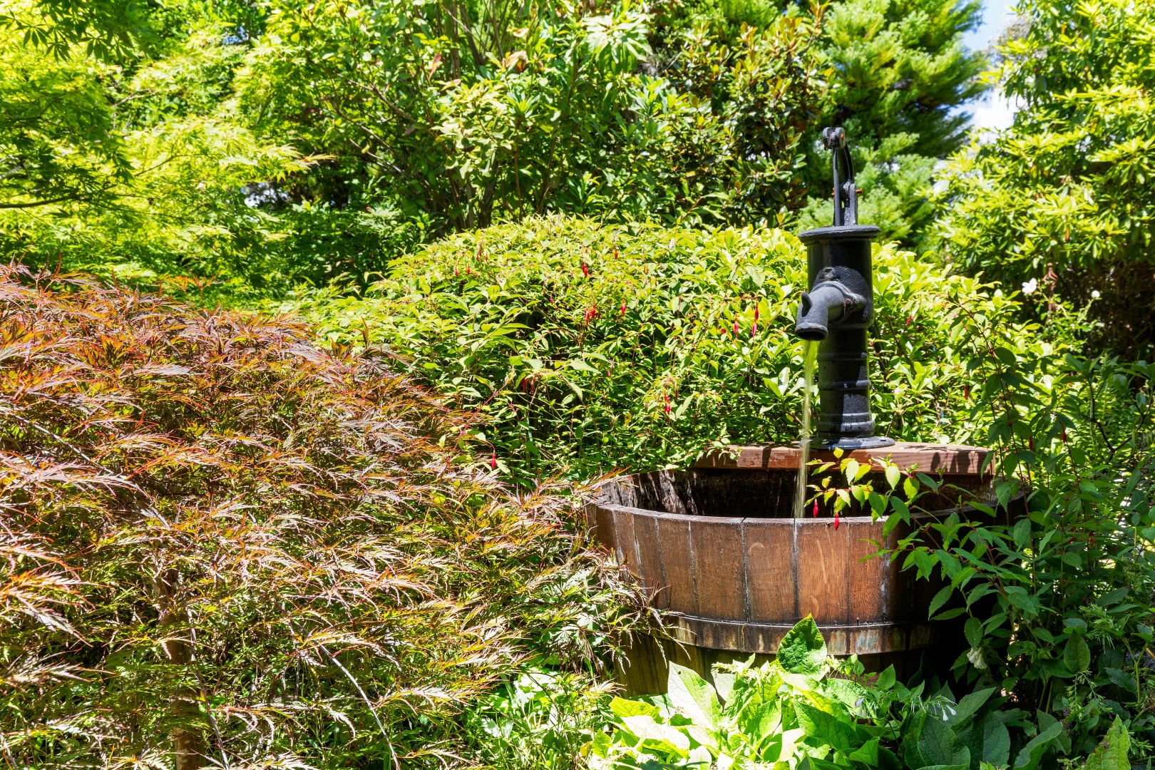 Additional image 18 of 6-10 Wills Street, Blackheath NSW 2785