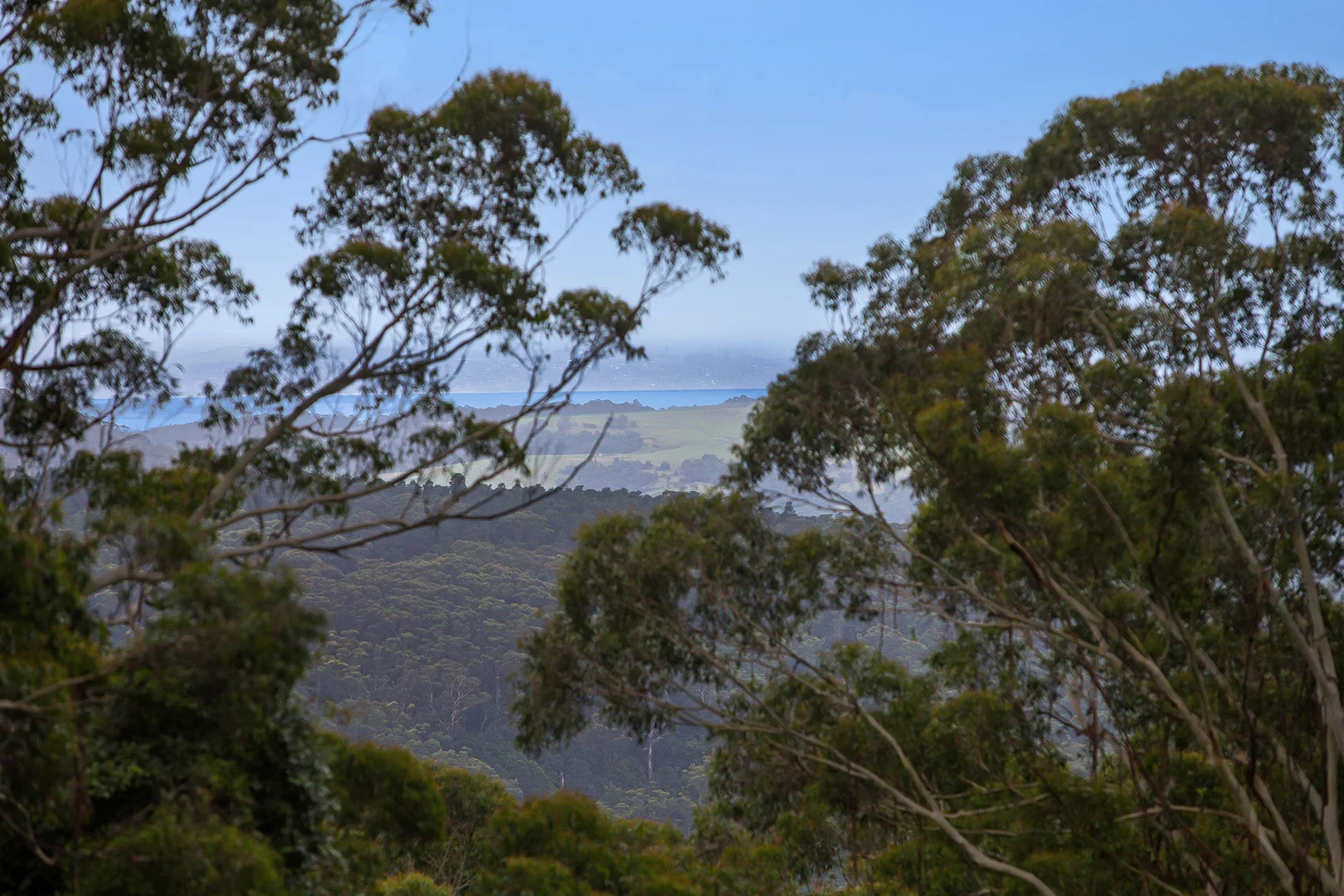Additional image 14 of 1002 Jamberoo Mountain Road, Jamberoo NSW 2533