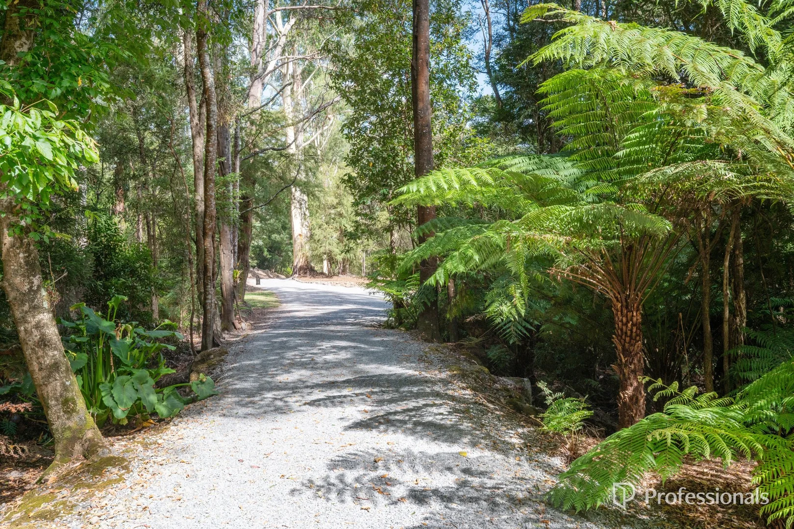 Additional image 26 of 15B Old Warburton Road, Warburton VIC 3799